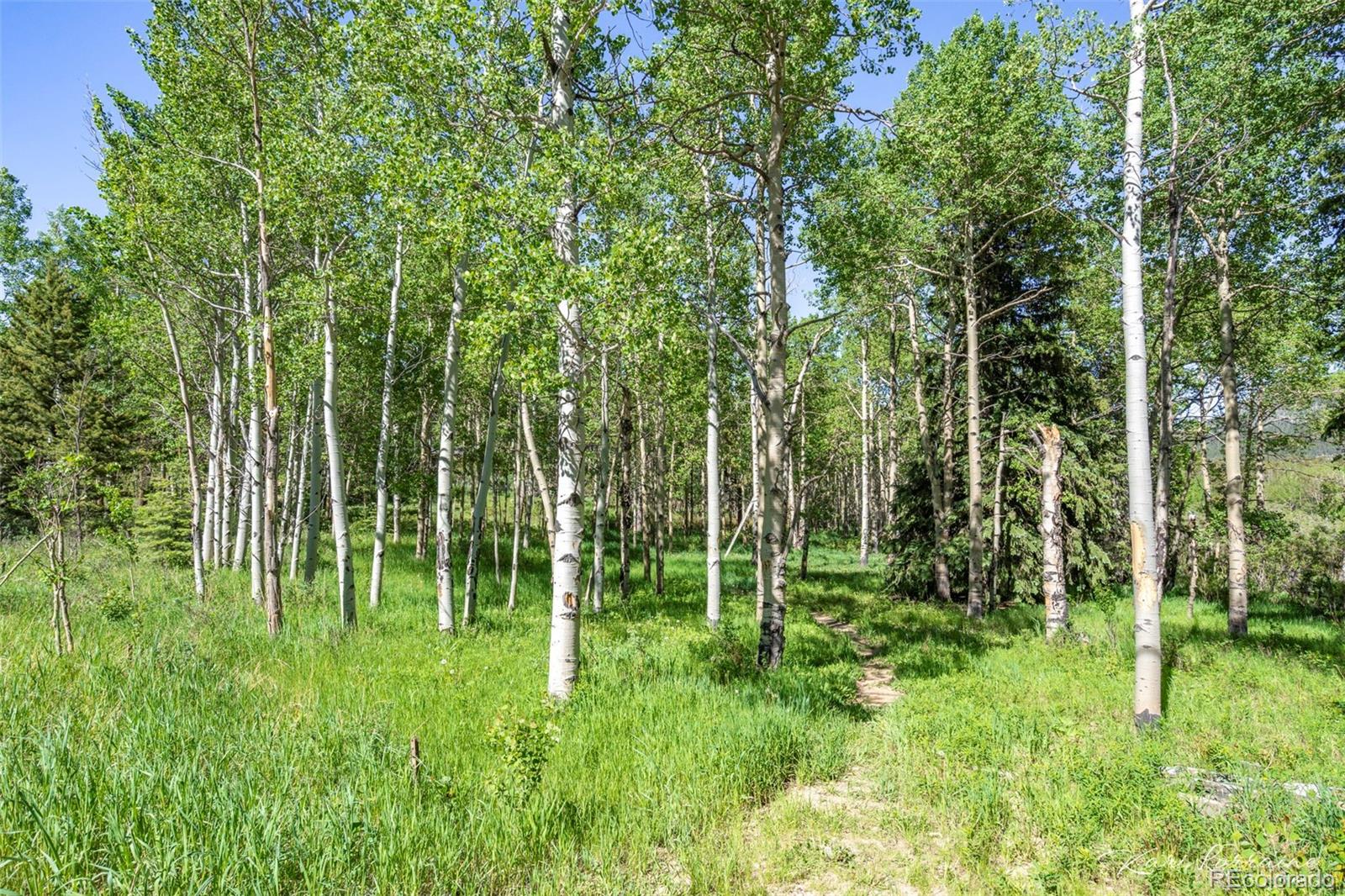 MLS Image #34 for 582  karlann drive,black hawk, Colorado