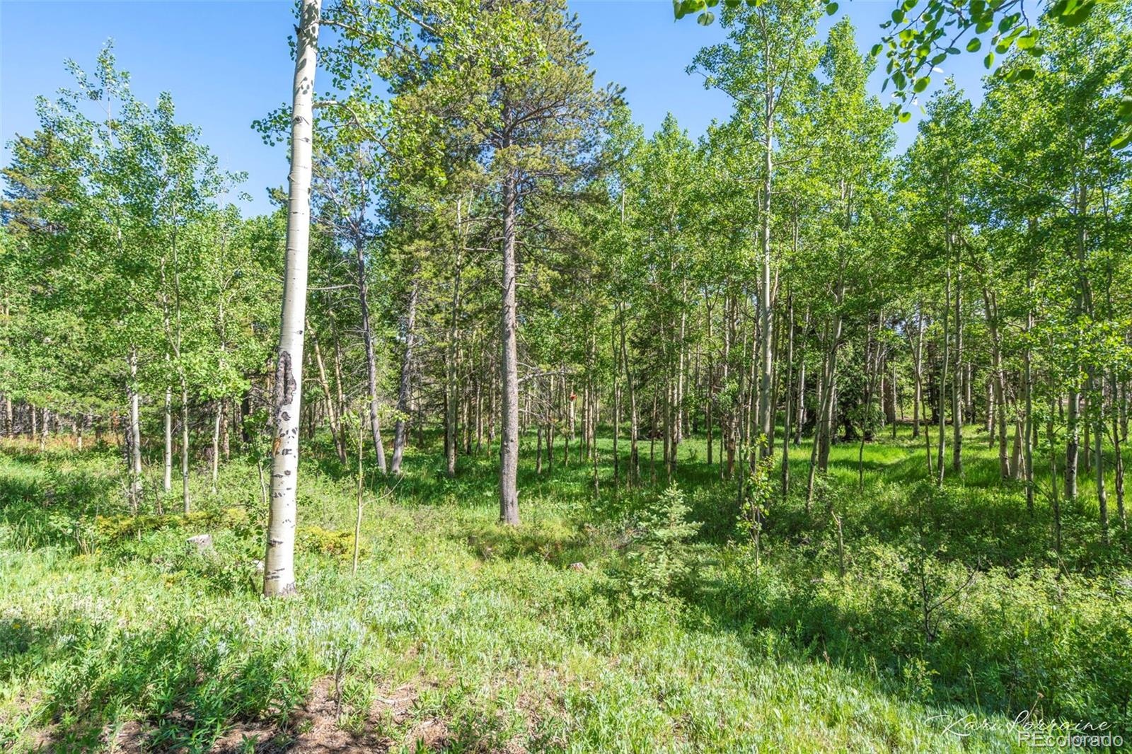 MLS Image #35 for 582  karlann drive,black hawk, Colorado