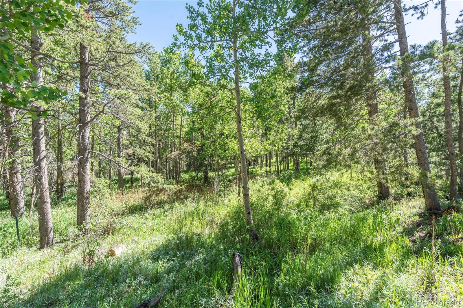 MLS Image #36 for 582  karlann drive,black hawk, Colorado