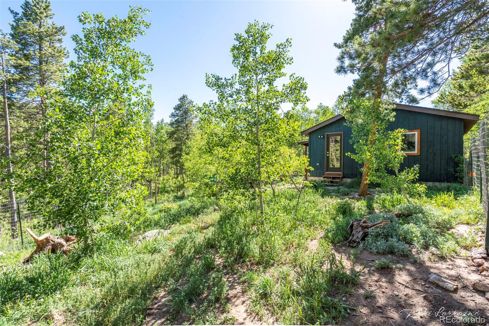 MLS Image #38 for 582  karlann drive,black hawk, Colorado