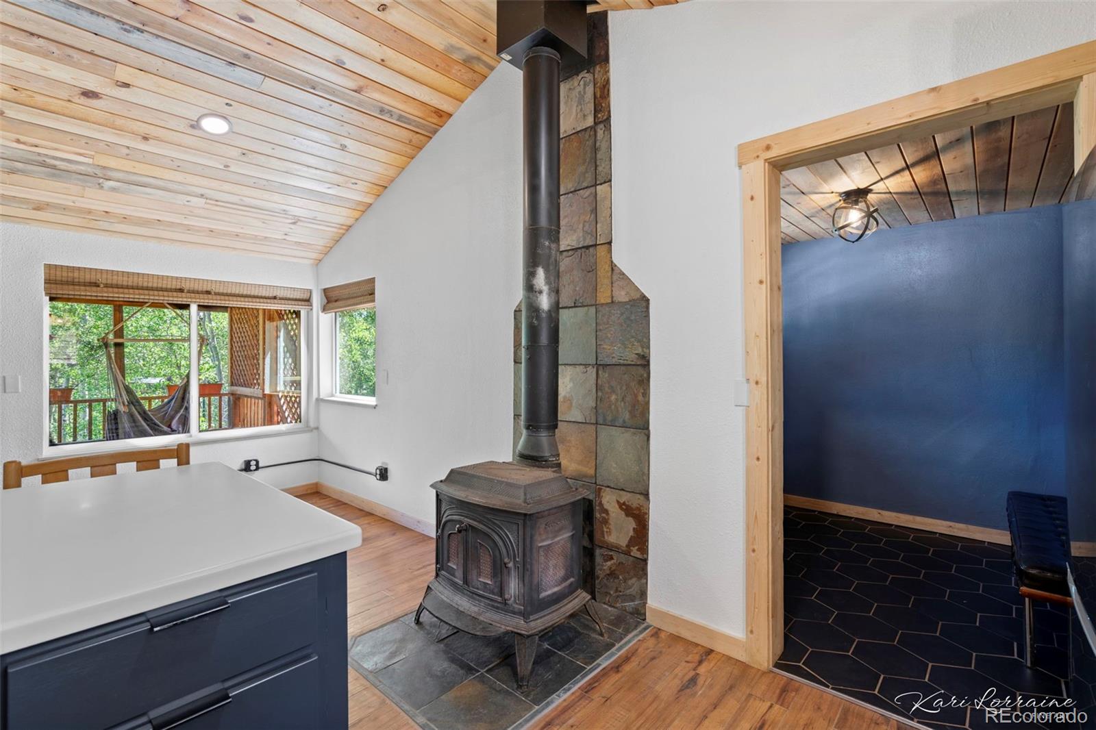 MLS Image #5 for 582  karlann drive,black hawk, Colorado