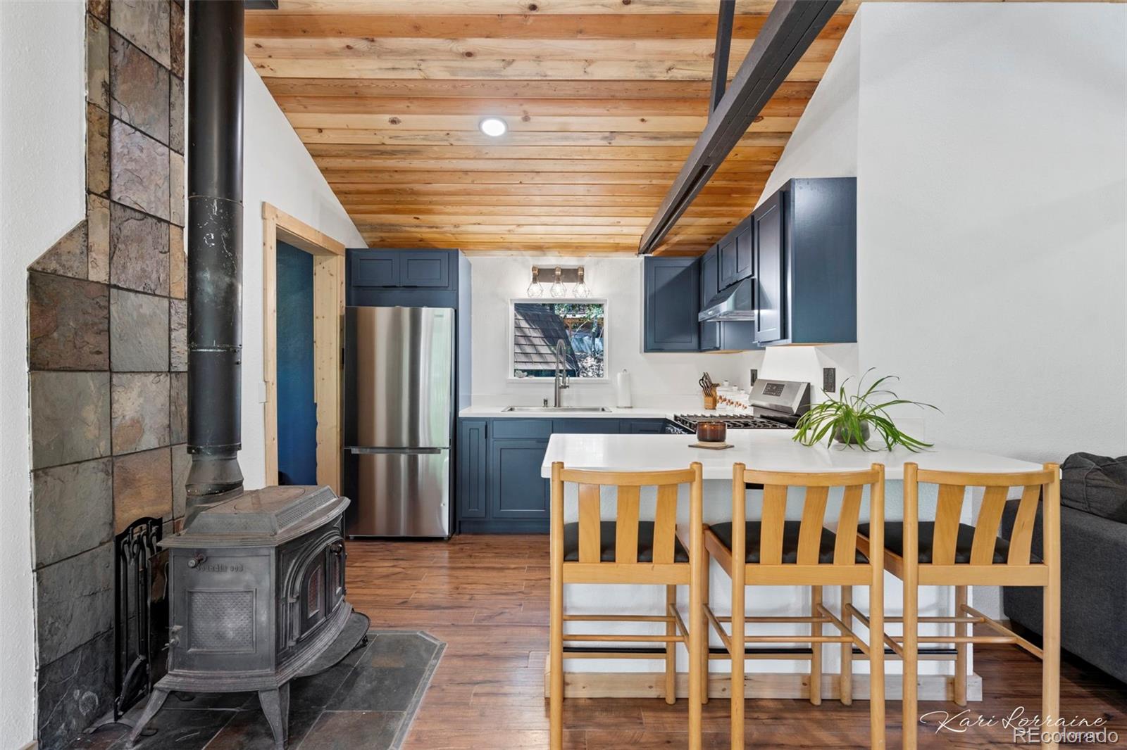 MLS Image #6 for 582  karlann drive,black hawk, Colorado