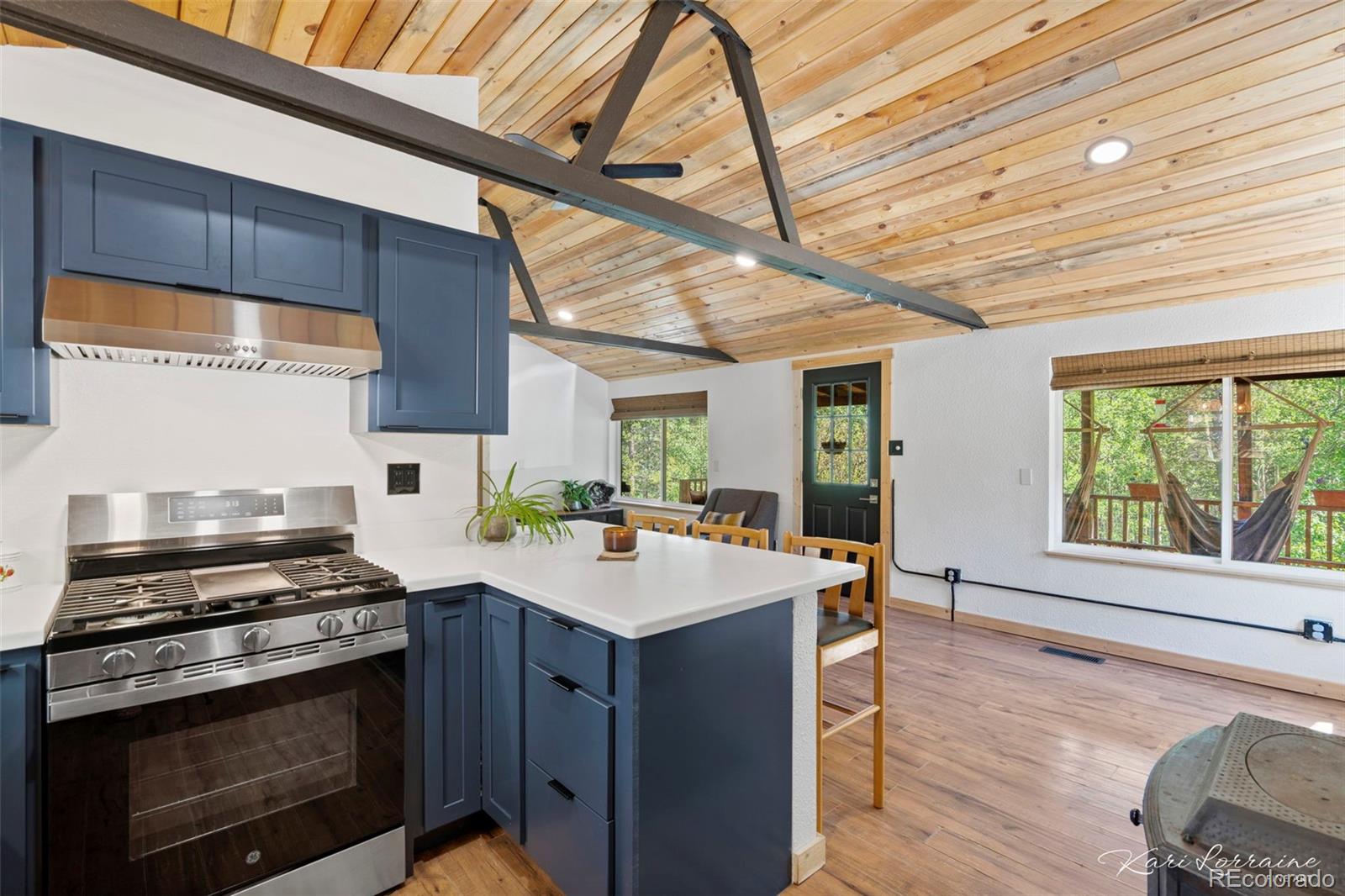 MLS Image #8 for 582  karlann drive,black hawk, Colorado