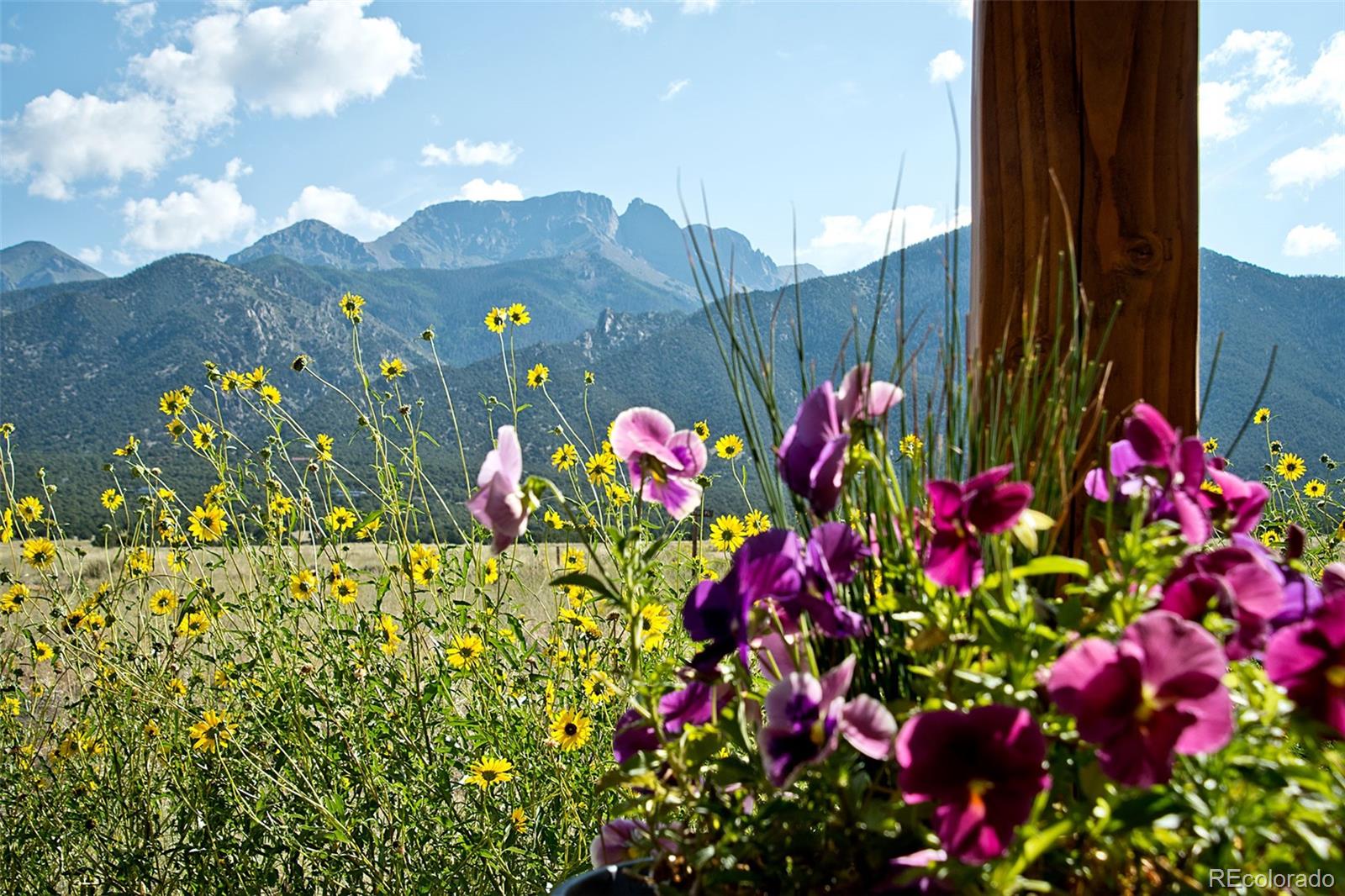MLS Image #6 for 3330  peaceful way,crestone, Colorado