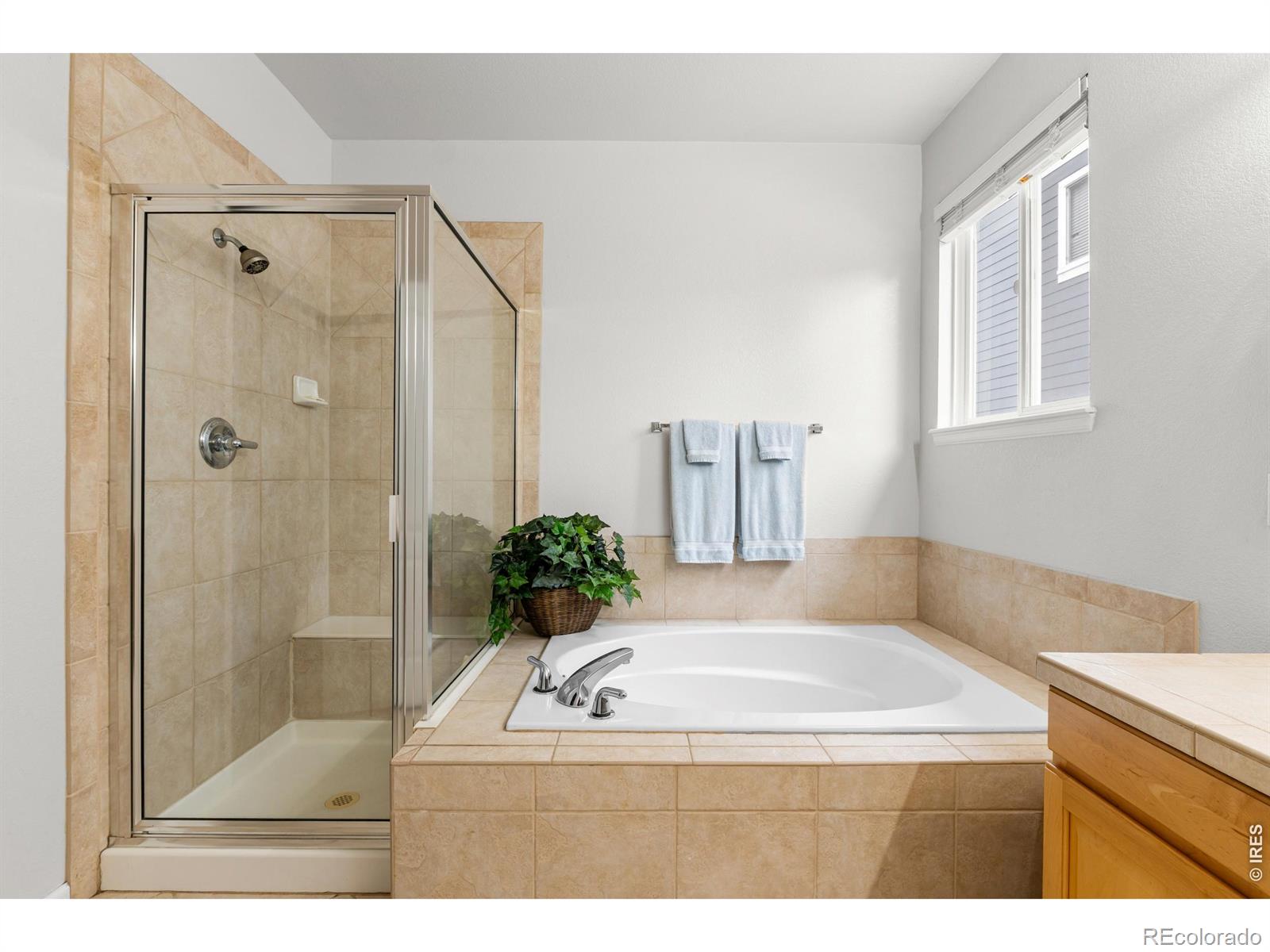 MLS Image #21 for 8131  lighthouse lane,windsor, Colorado