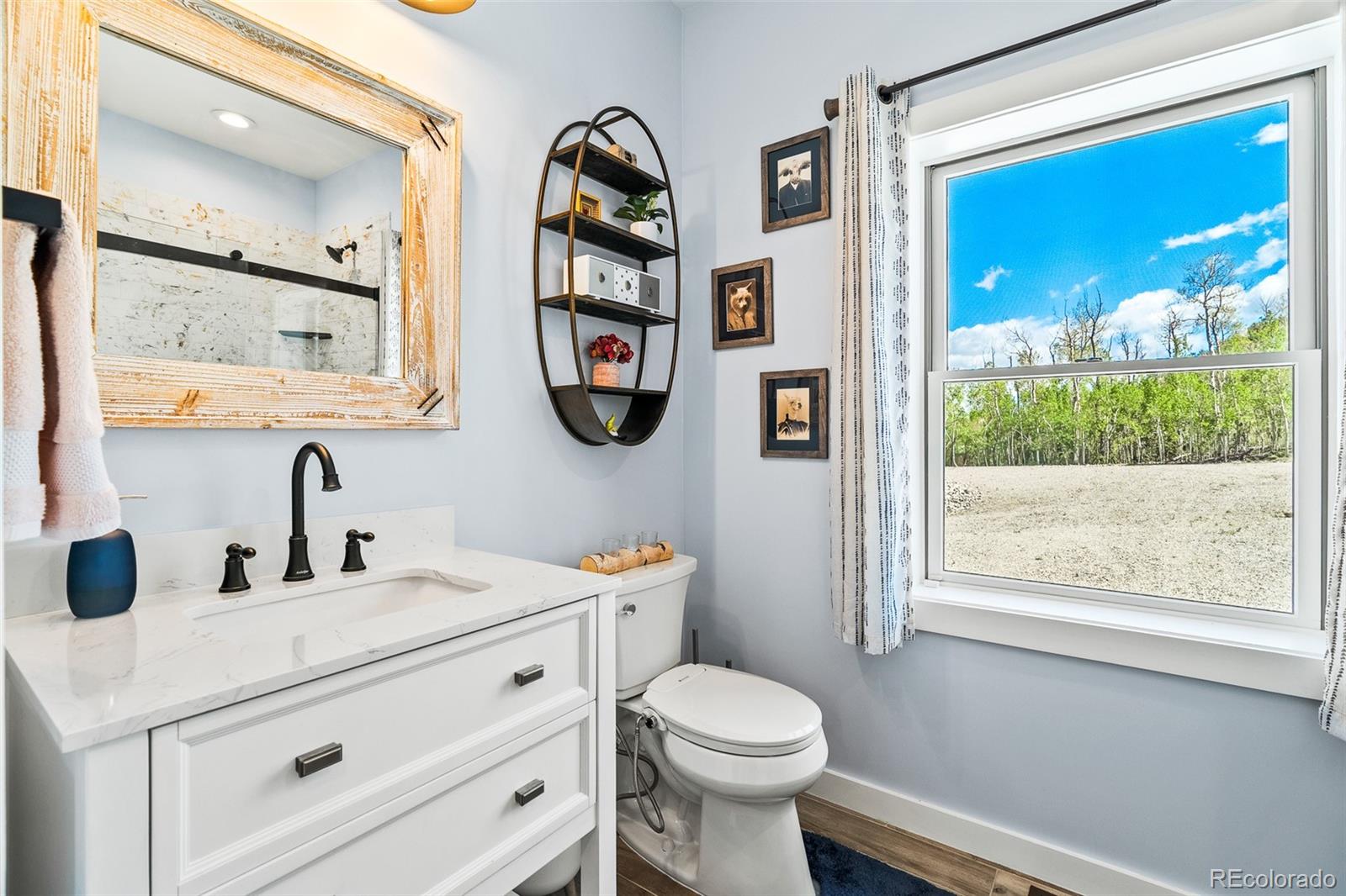 MLS Image #18 for 1023  mexican ridge circle,como, Colorado