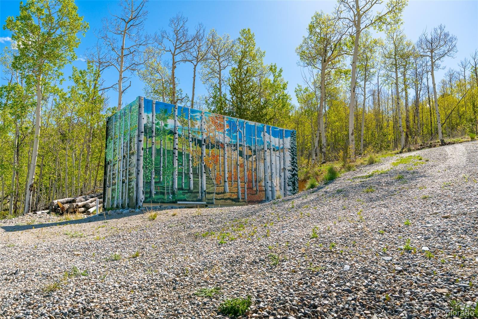 MLS Image #27 for 1023  mexican ridge circle,como, Colorado