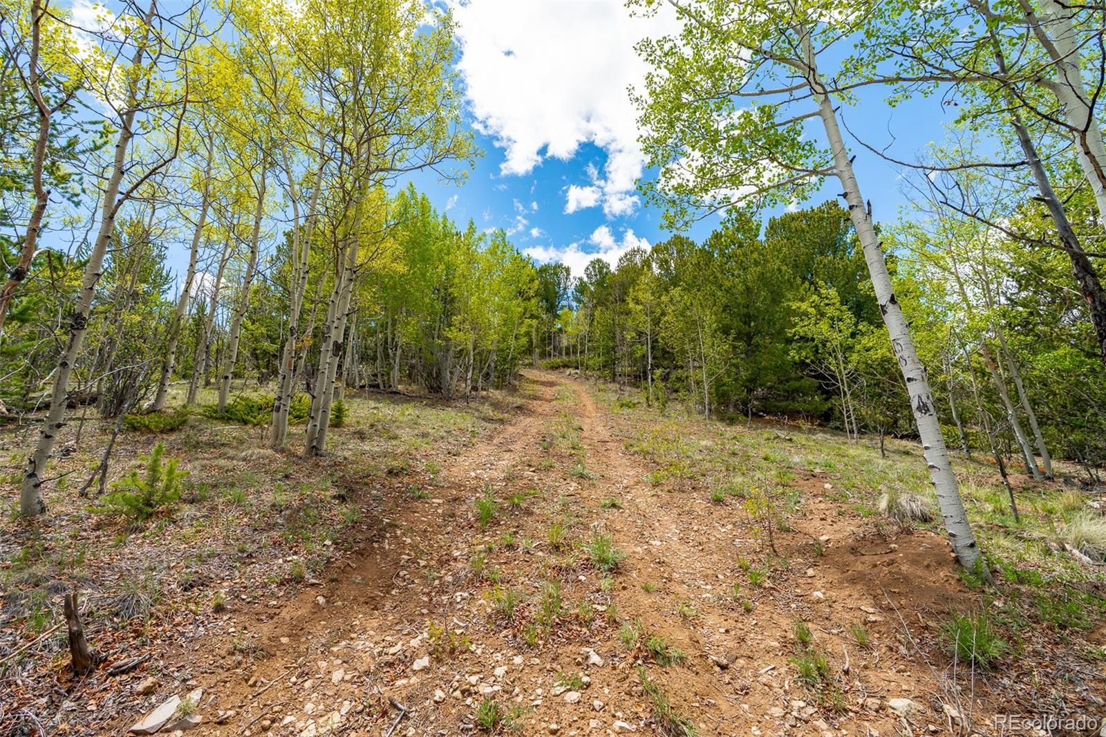 MLS Image #36 for 1023  mexican ridge circle,como, Colorado