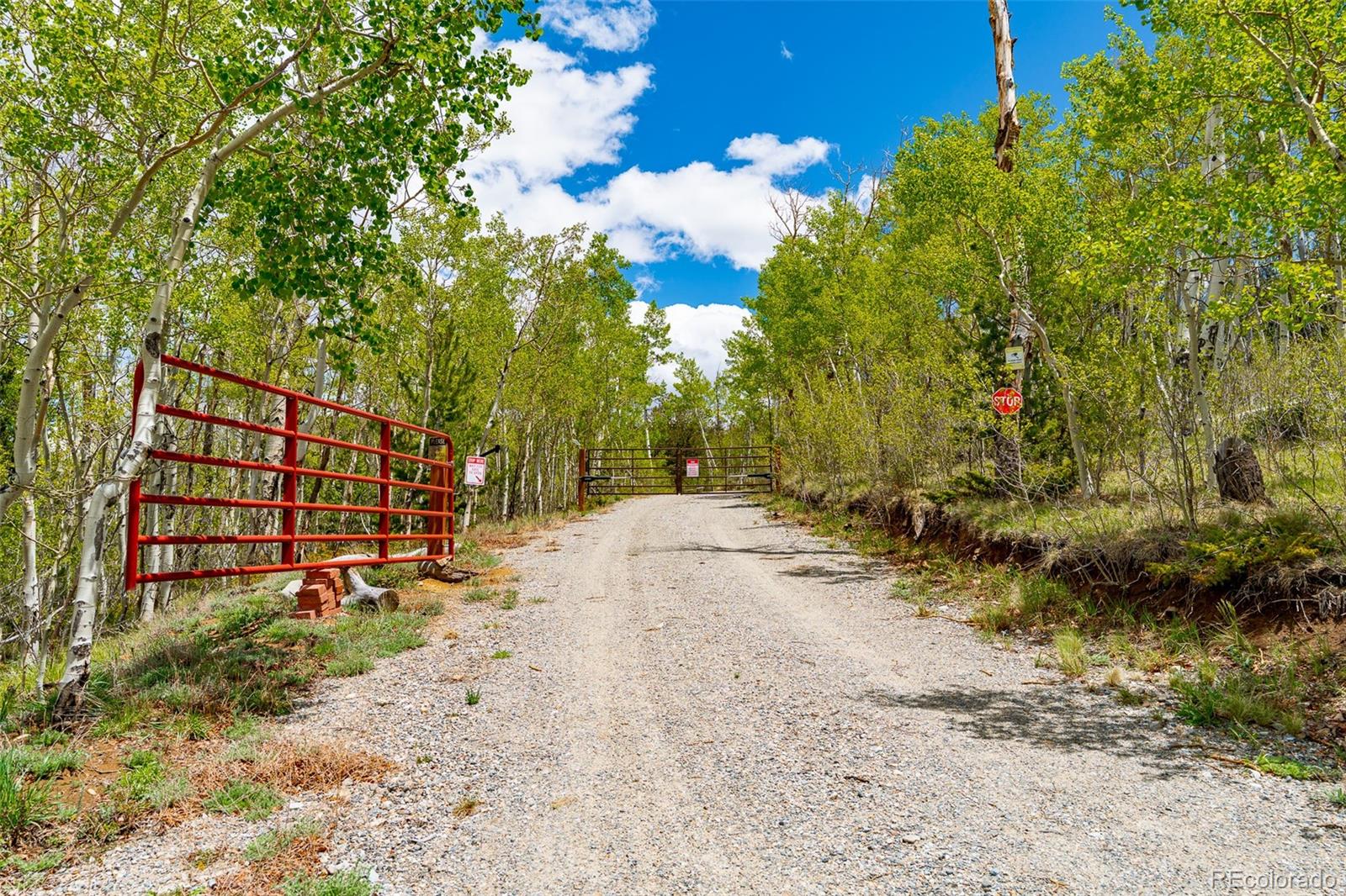 MLS Image #38 for 1023  mexican ridge circle,como, Colorado