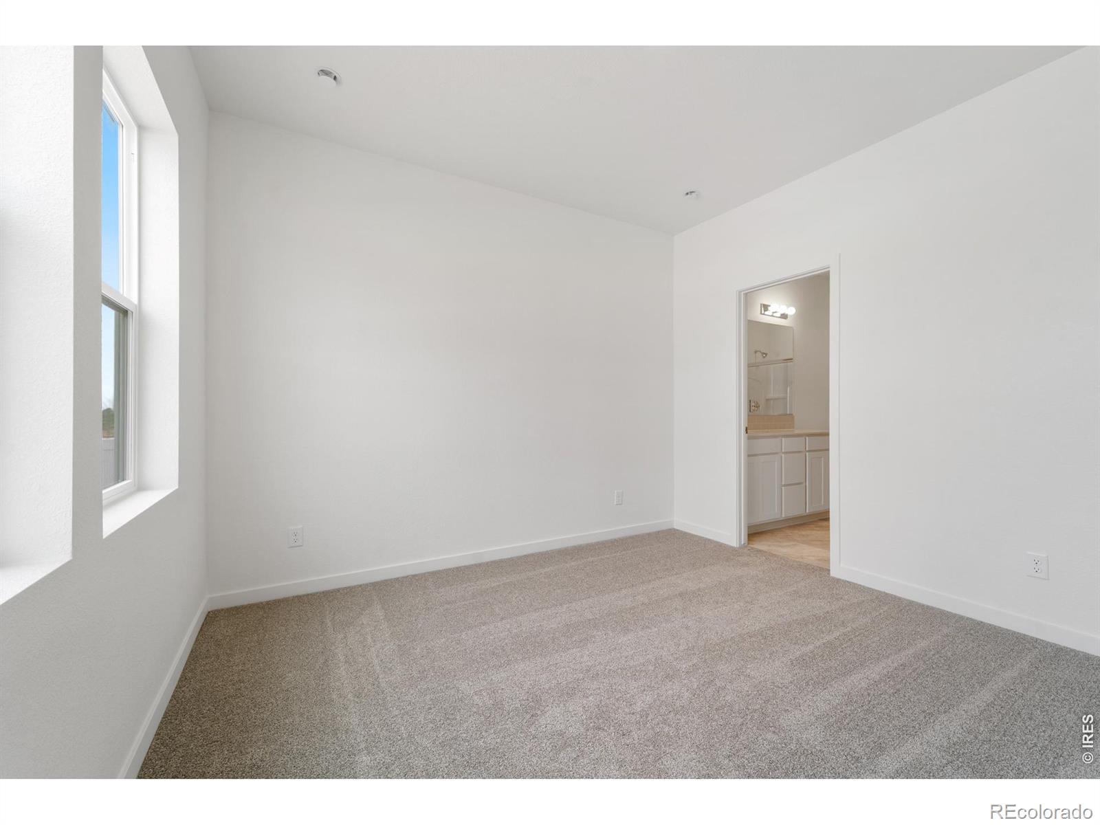 MLS Image #6 for 3916  soapstone street,evans, Colorado