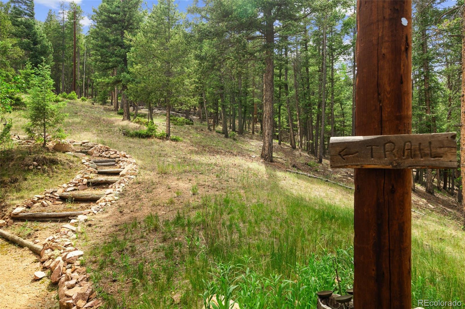 MLS Image #4 for 12191  tecumseh trail,conifer, Colorado