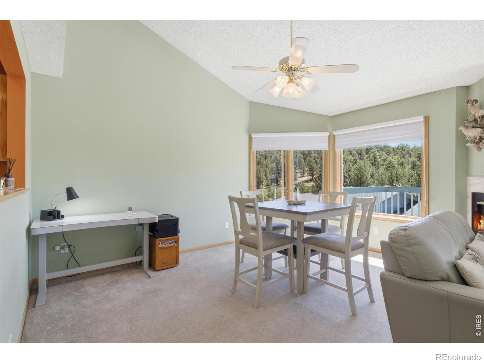 MLS Image #13 for 1861  raven avenue,estes park, Colorado