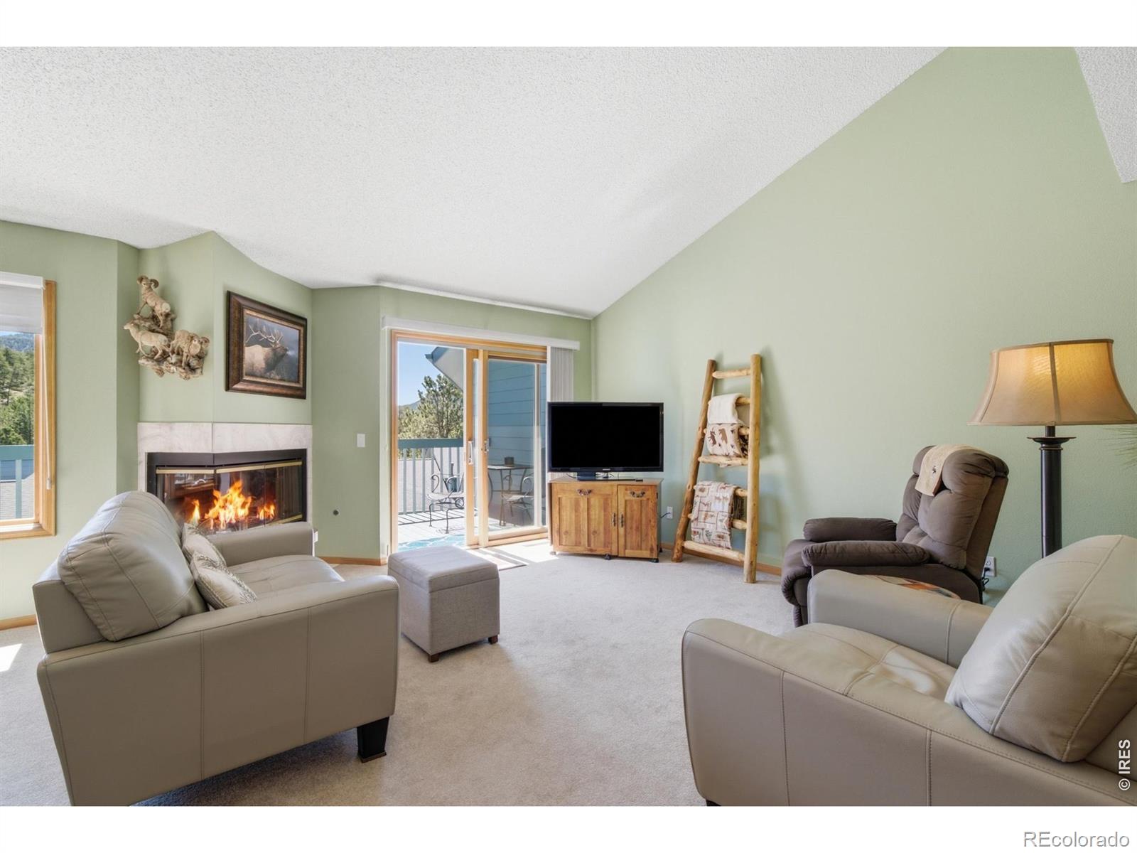 MLS Image #3 for 1861  raven avenue,estes park, Colorado