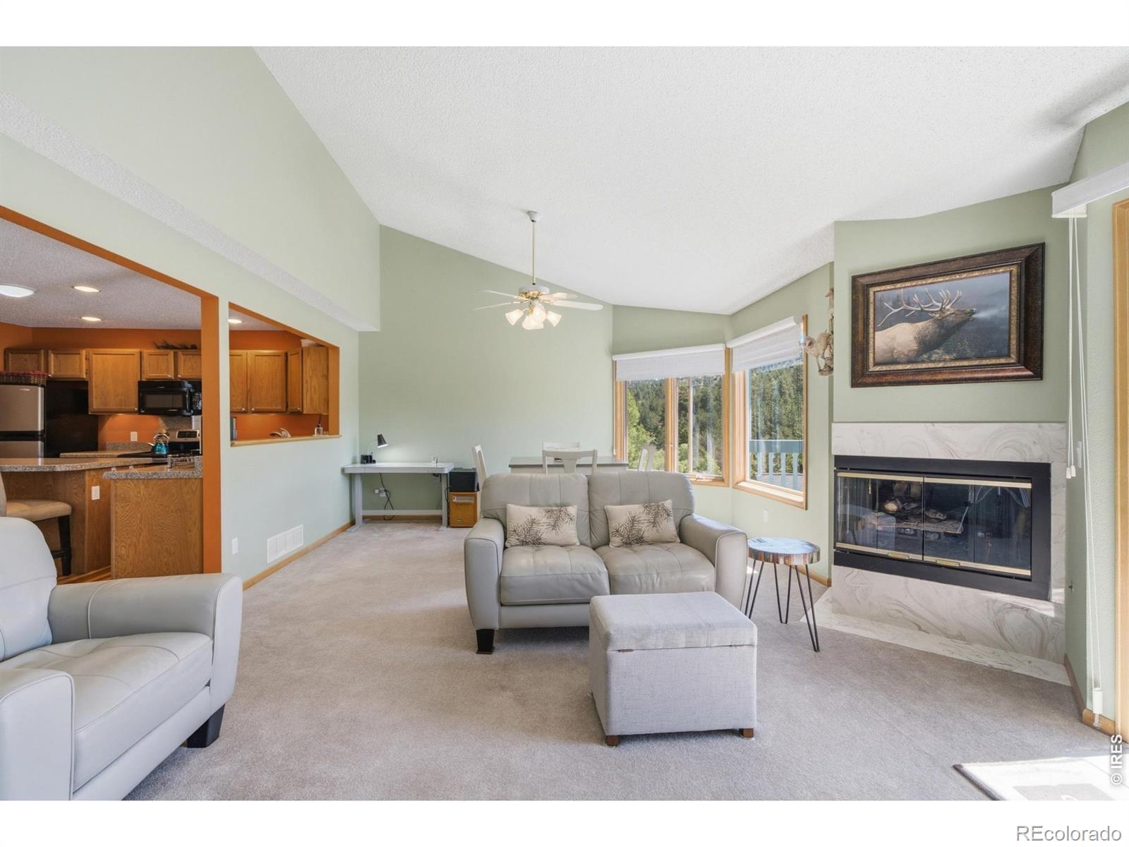 MLS Image #4 for 1861  raven avenue,estes park, Colorado