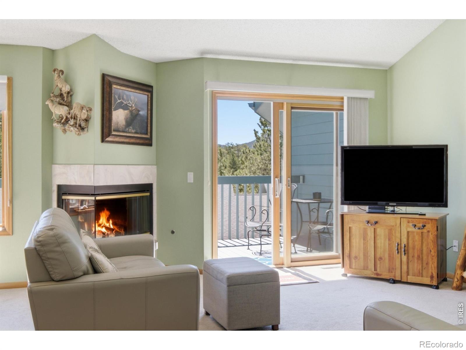 MLS Image #6 for 1861  raven avenue,estes park, Colorado
