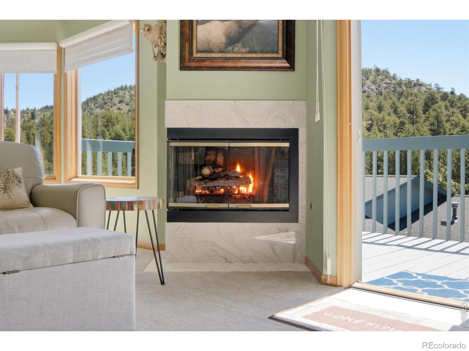 MLS Image #7 for 1861  raven avenue,estes park, Colorado