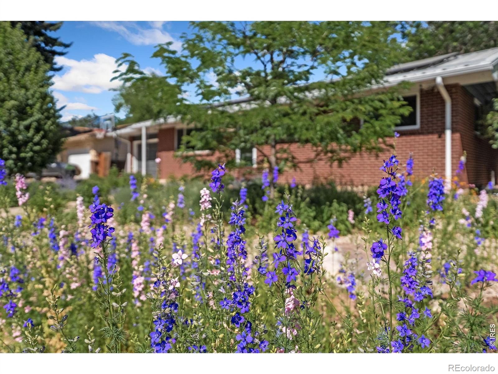 MLS Image #3 for 1616  smith place,fort collins, Colorado