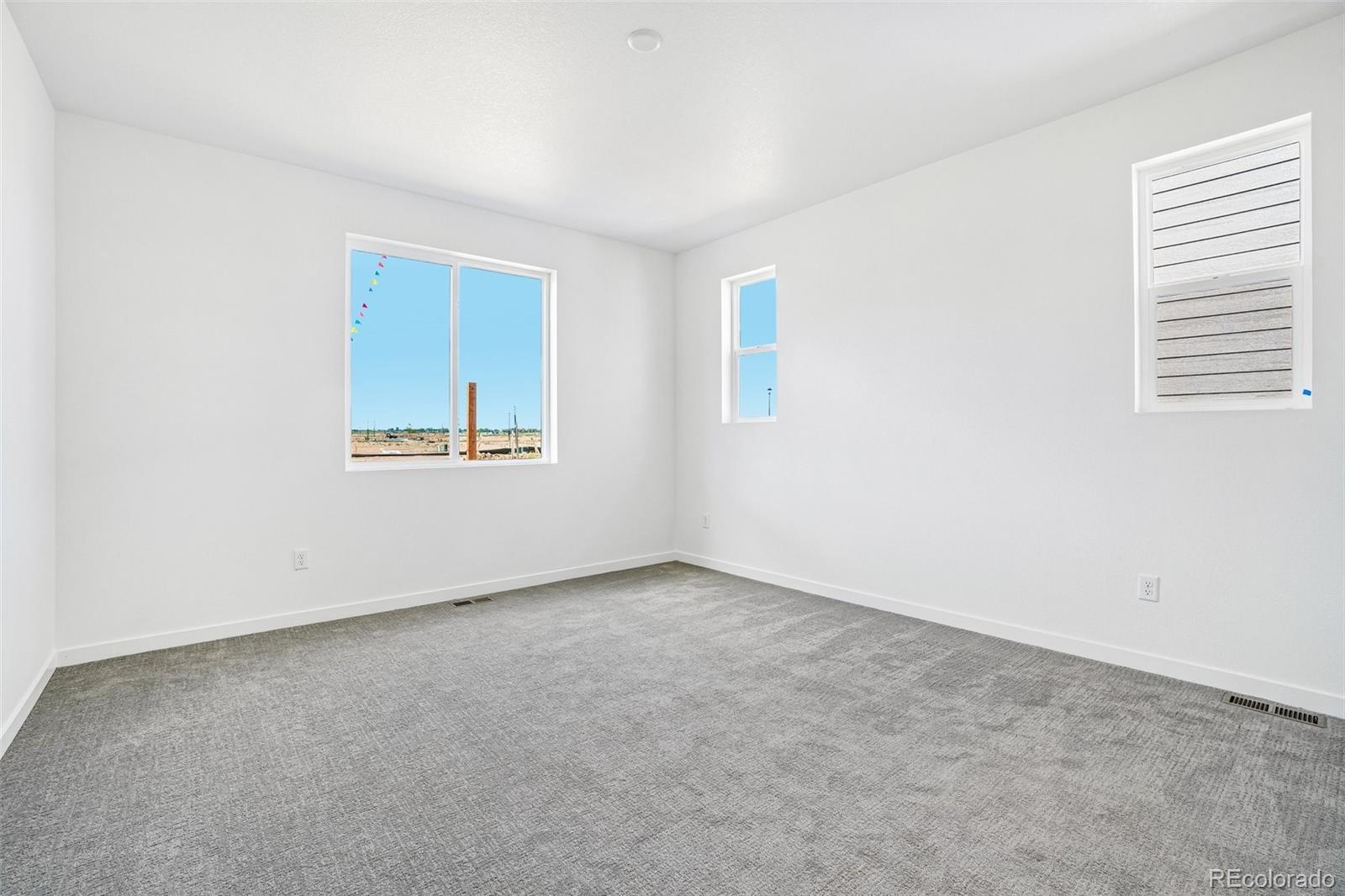 MLS Image #19 for 1466  boyle street,windsor, Colorado