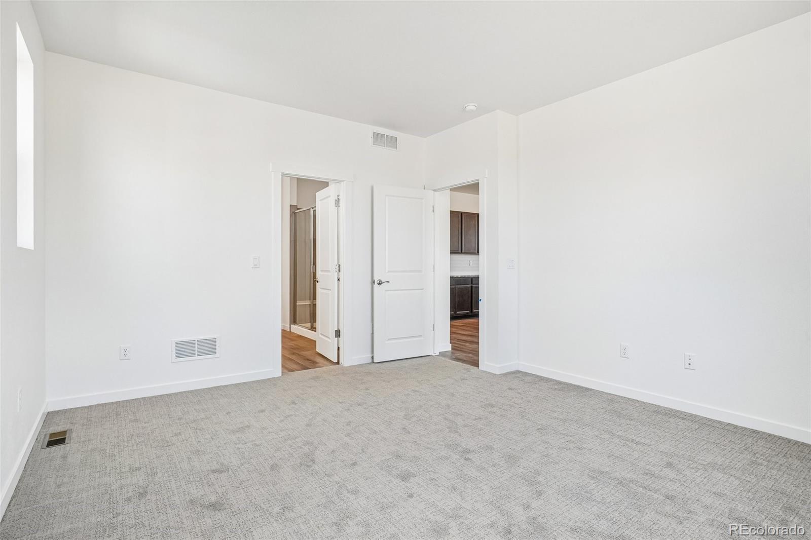 MLS Image #20 for 1466  boyle street,windsor, Colorado