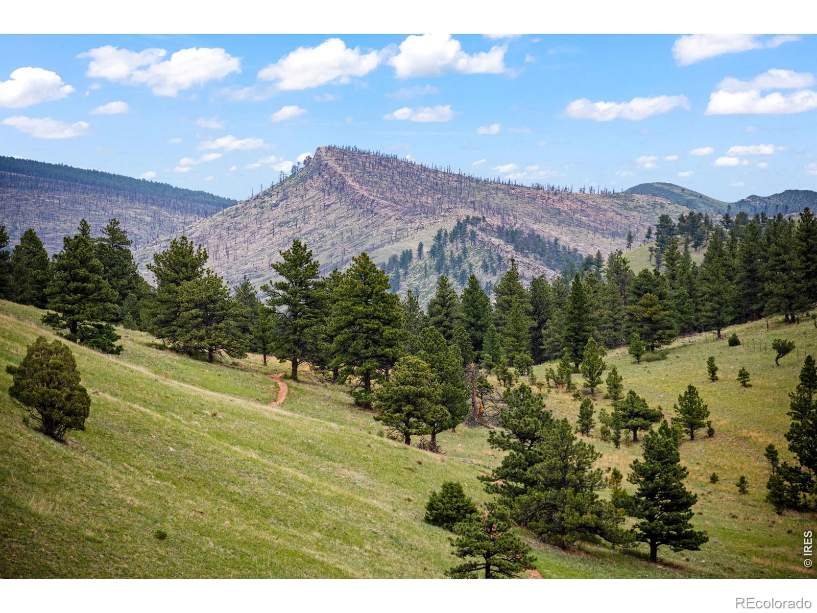 MLS Image #29 for 7267  olde stage road,boulder, Colorado