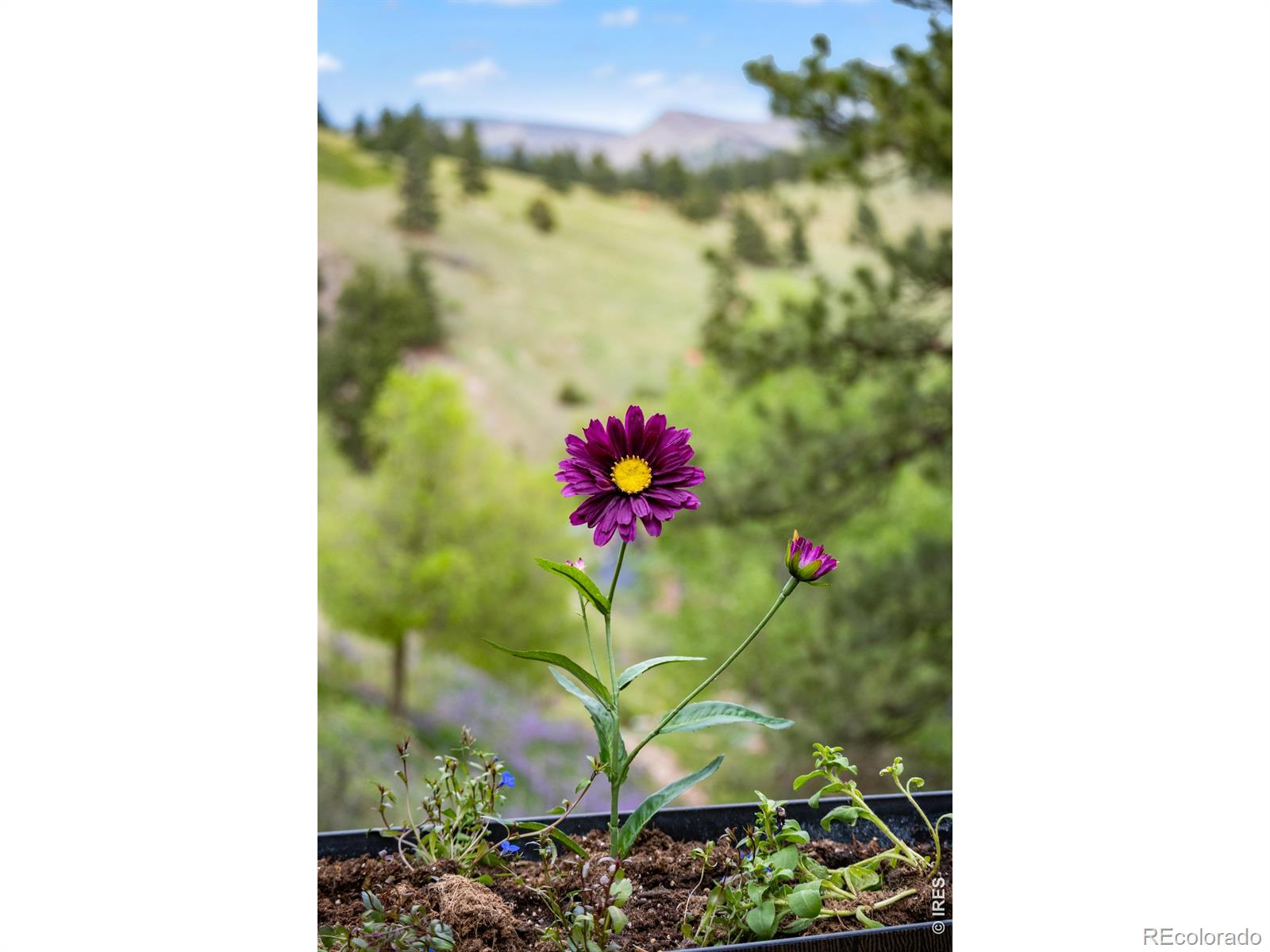 MLS Image #30 for 7267  olde stage road,boulder, Colorado