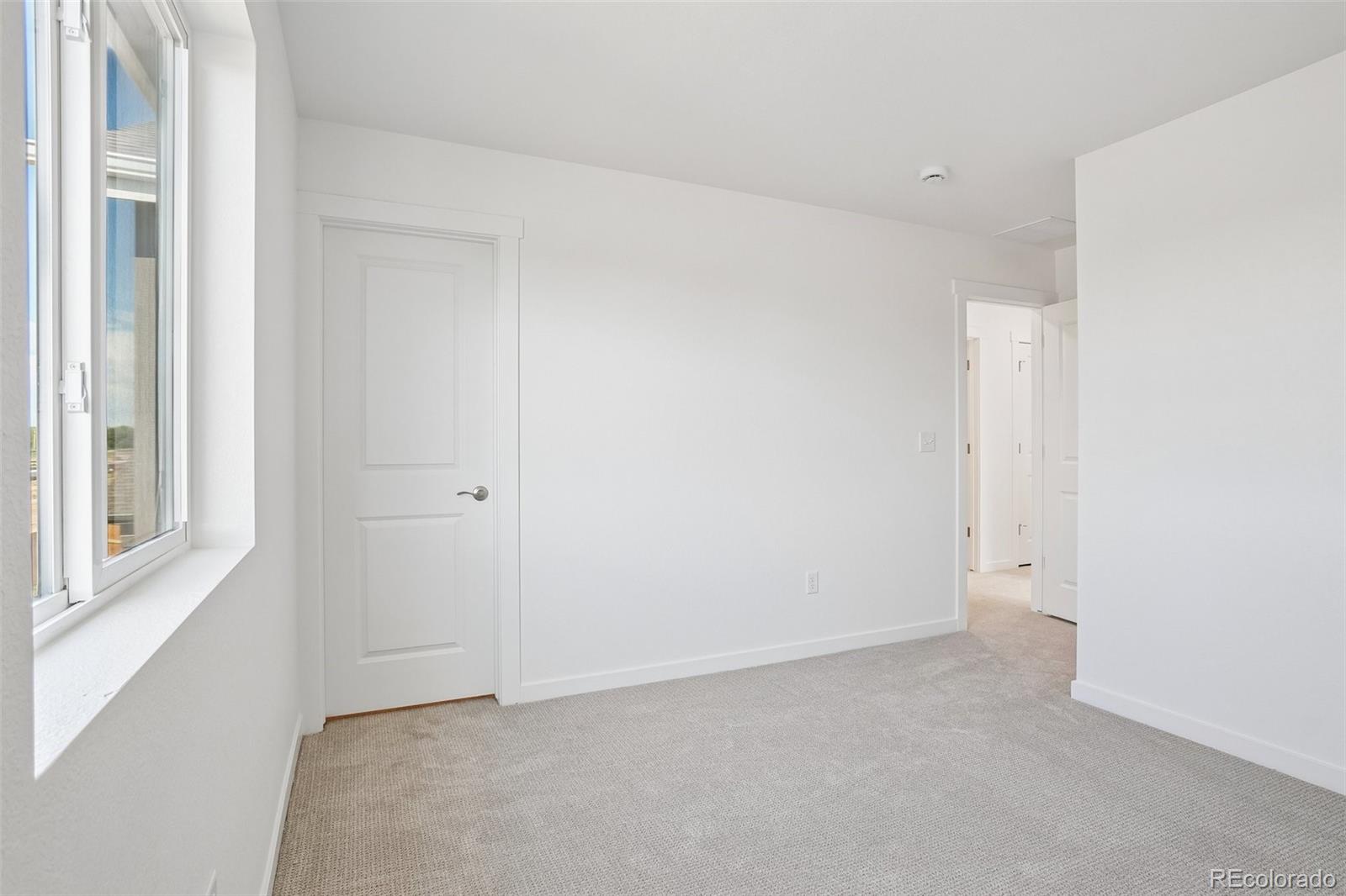 MLS Image #23 for 1436  boyle street,windsor, Colorado
