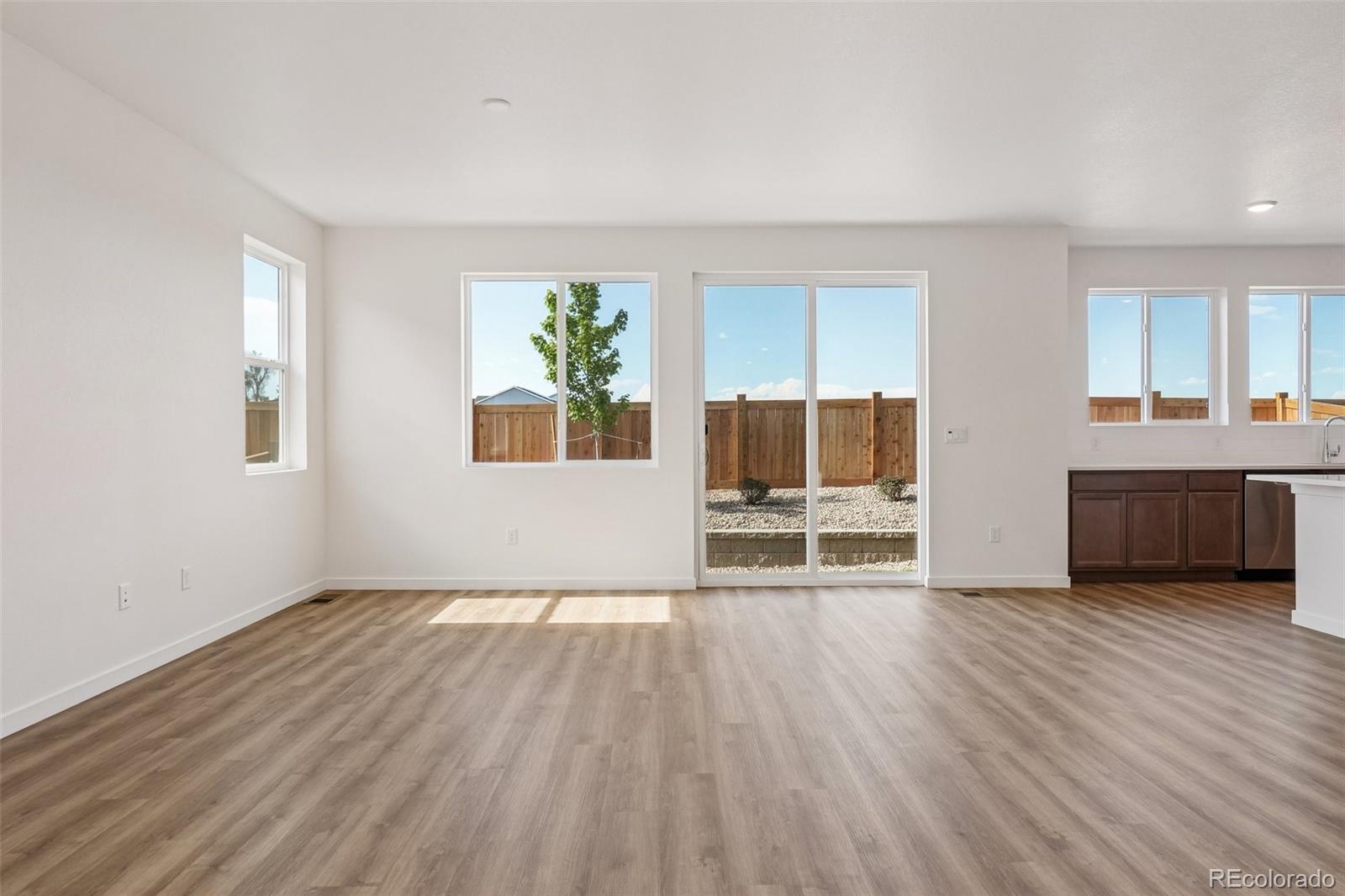 MLS Image #6 for 1436  boyle street,windsor, Colorado