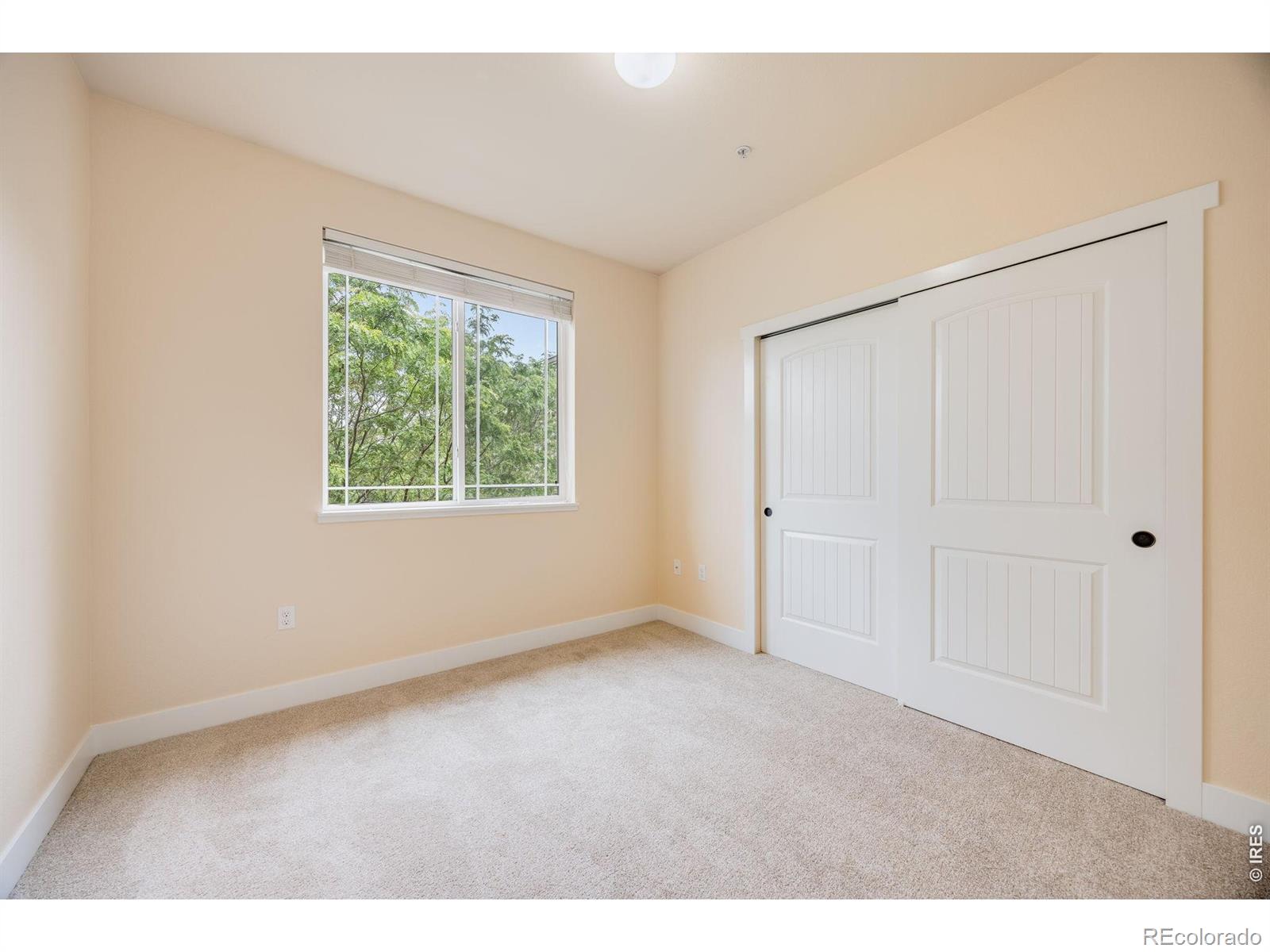 MLS Image #21 for 2445  windrow drive,fort collins, Colorado