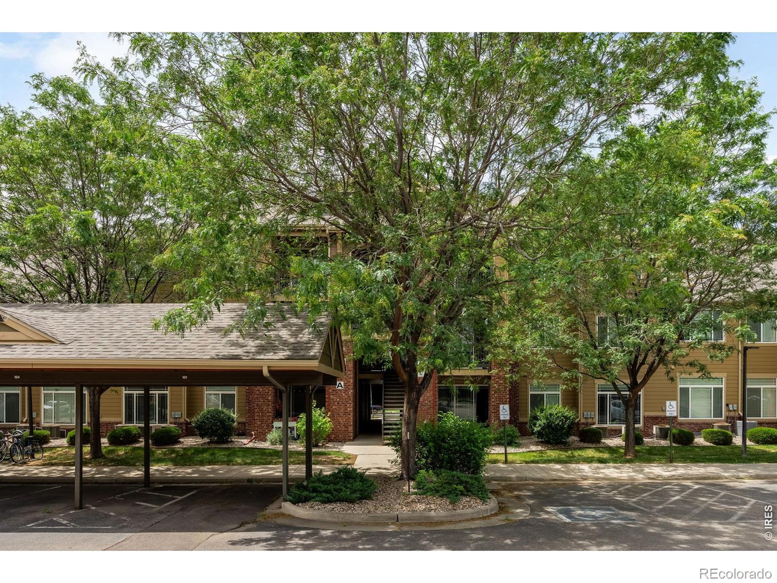 MLS Image #36 for 2445  windrow drive,fort collins, Colorado