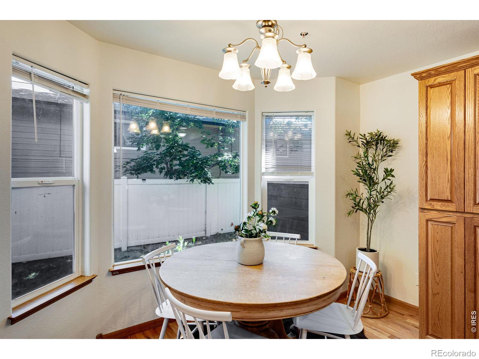 MLS Image #12 for 1410 s california avenue,loveland, Colorado