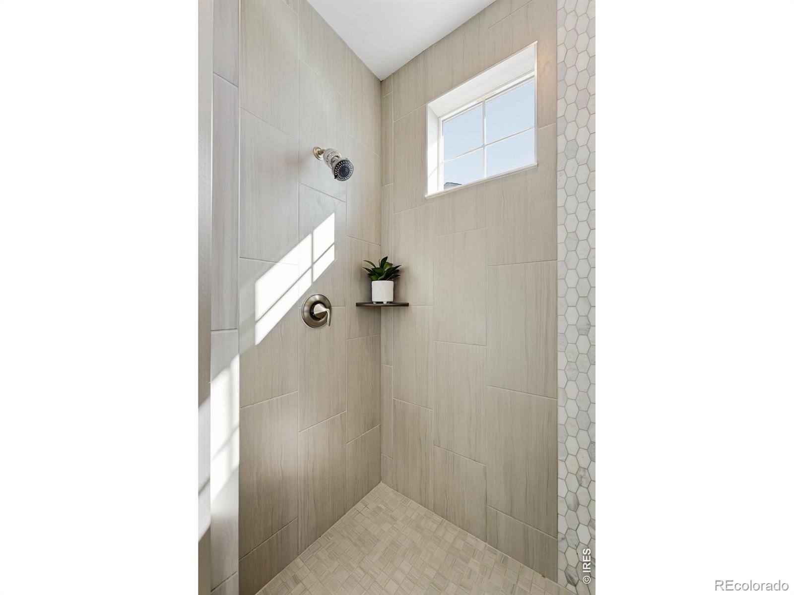 MLS Image #22 for 941  wildrose place,erie, Colorado