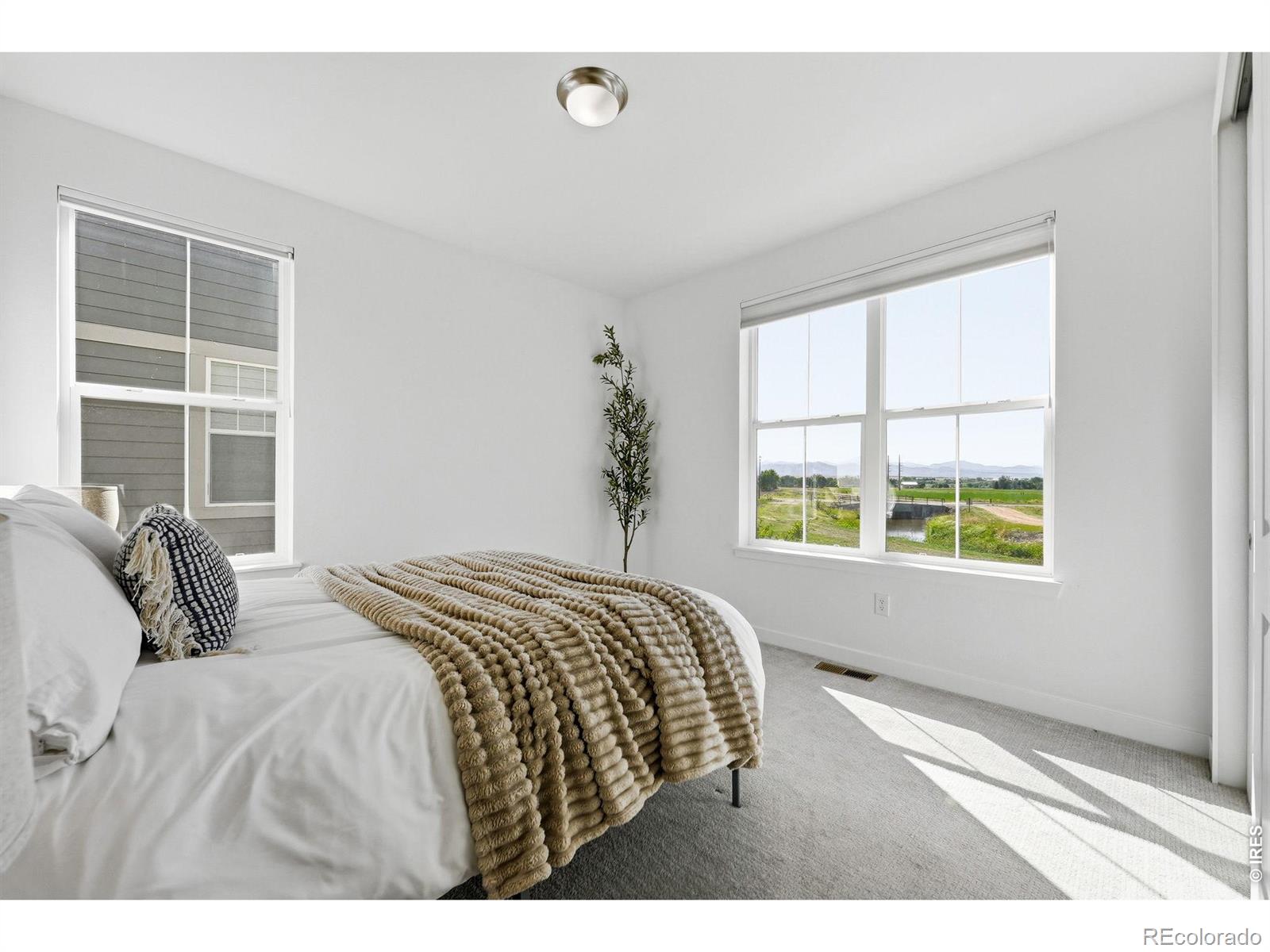 MLS Image #23 for 941  wildrose place,erie, Colorado