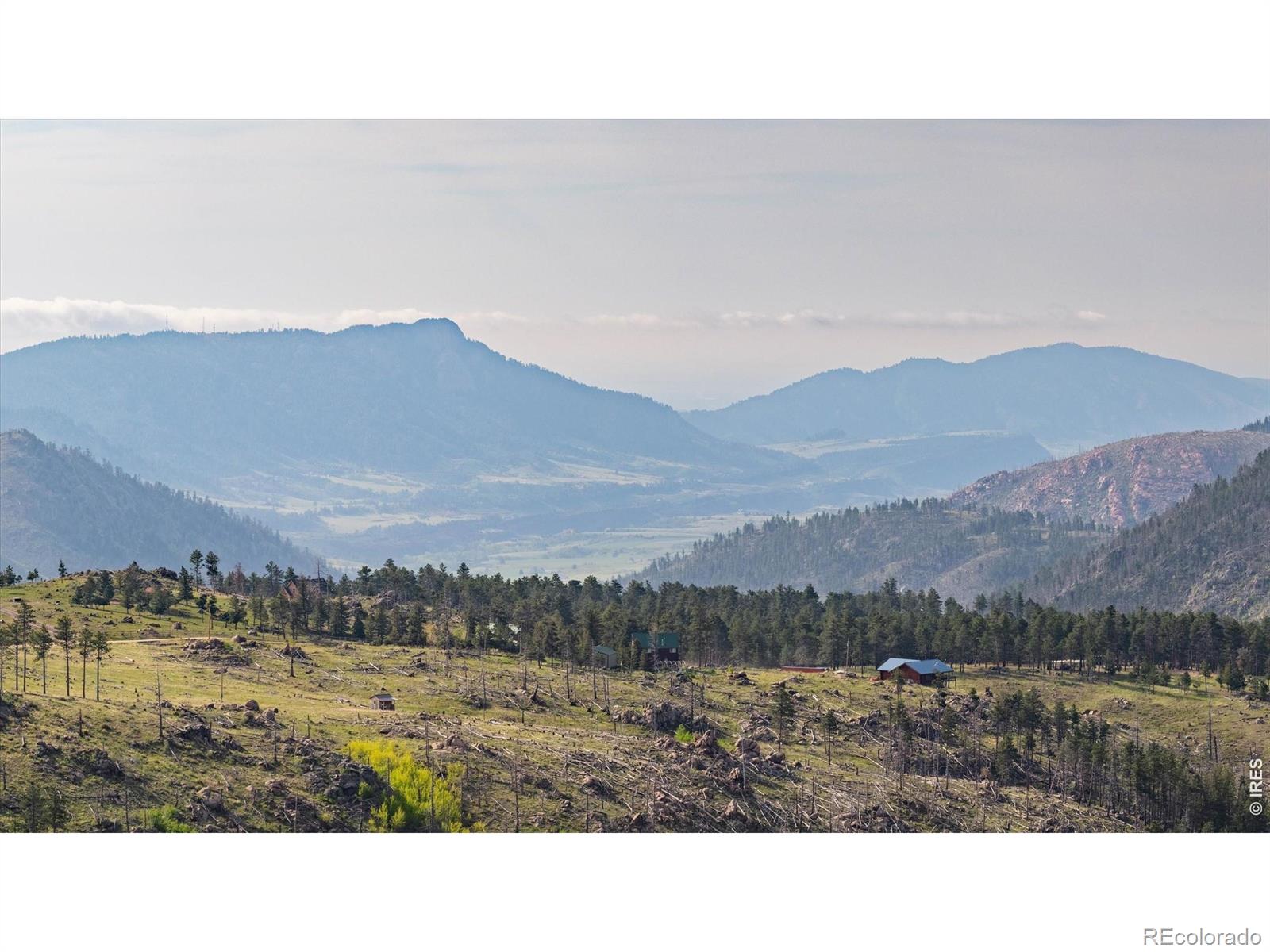 MLS Image #3 for 4119  davis ranch road,bellvue, Colorado