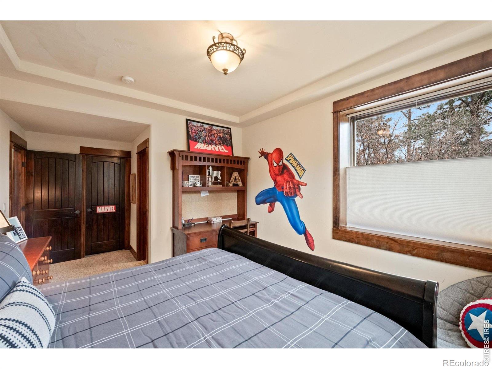 MLS Image #29 for 1782  tulip tree place,castle rock, Colorado