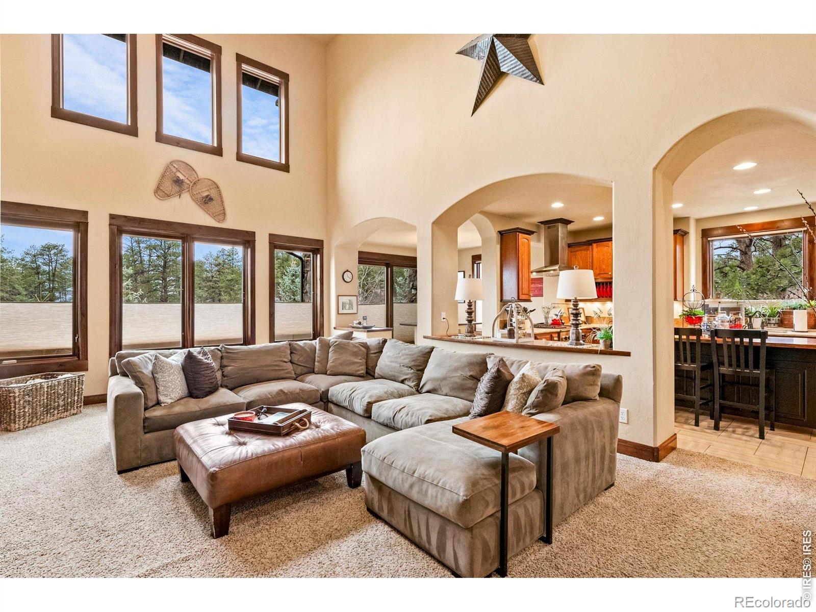 MLS Image #5 for 1782  tulip tree place,castle rock, Colorado