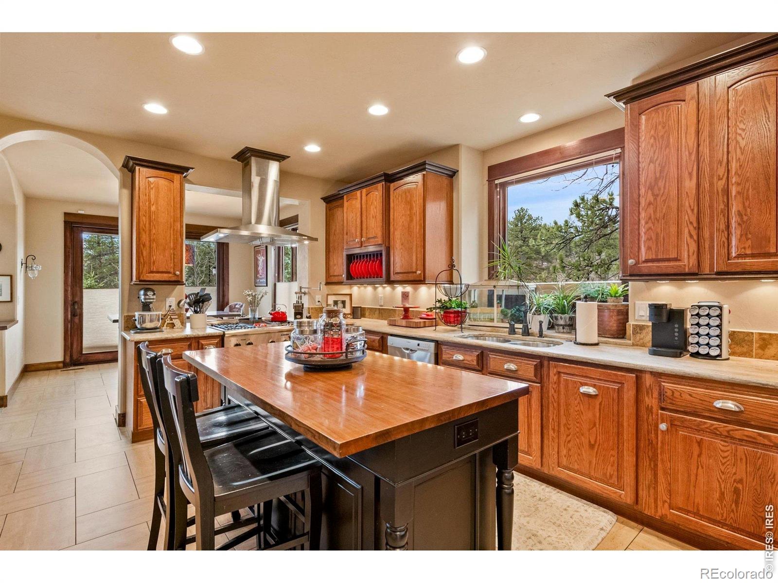 MLS Image #9 for 1782  tulip tree place,castle rock, Colorado