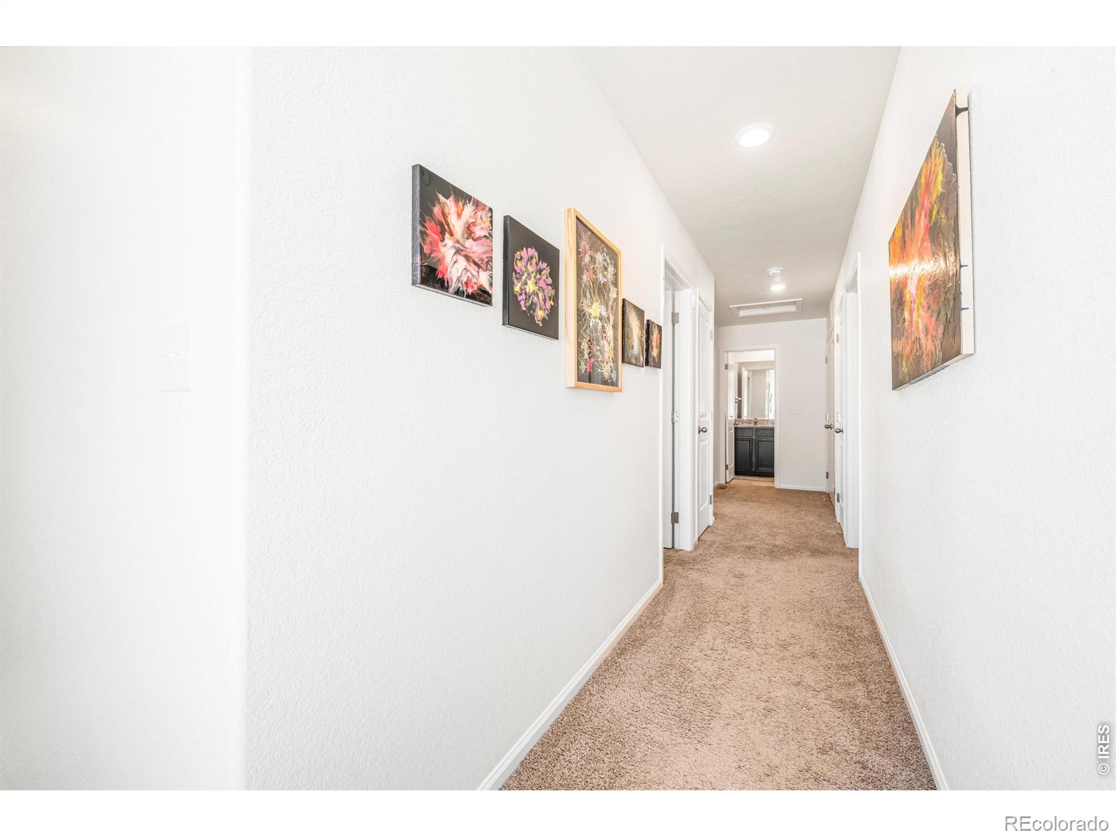 MLS Image #14 for 7243  aspen brook avenue,frederick, Colorado