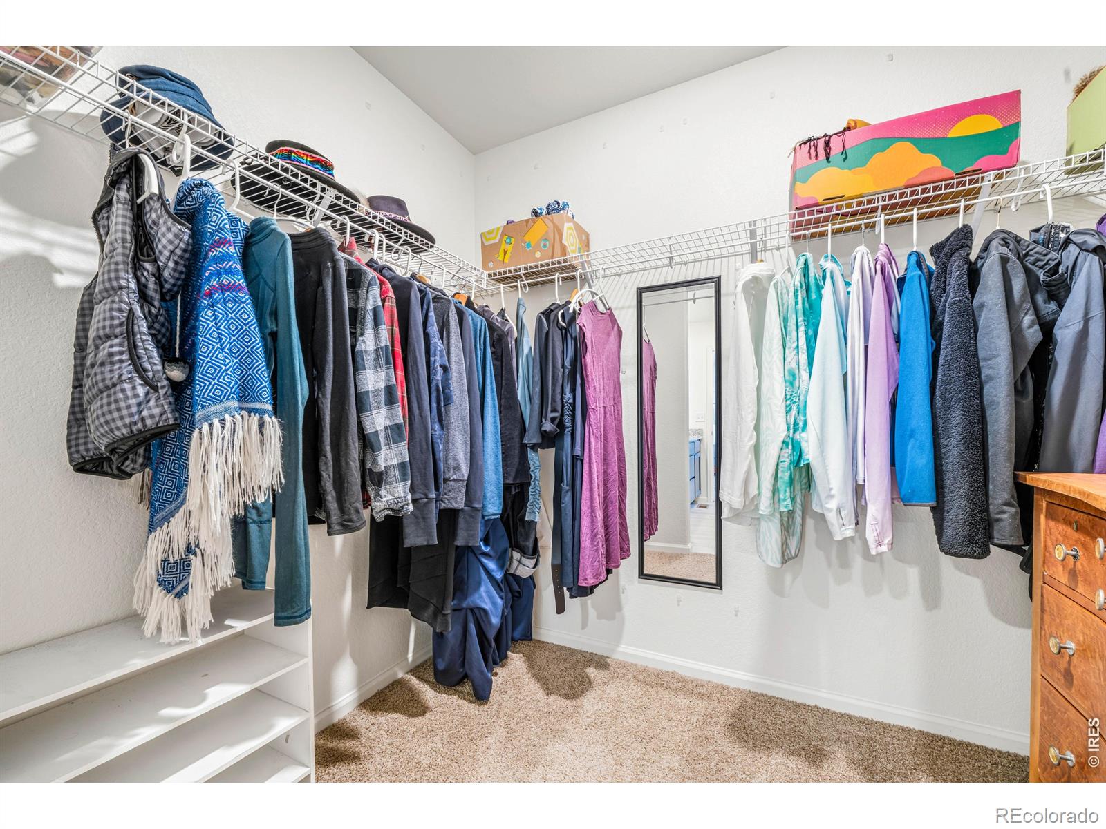 MLS Image #19 for 7243  aspen brook avenue,frederick, Colorado