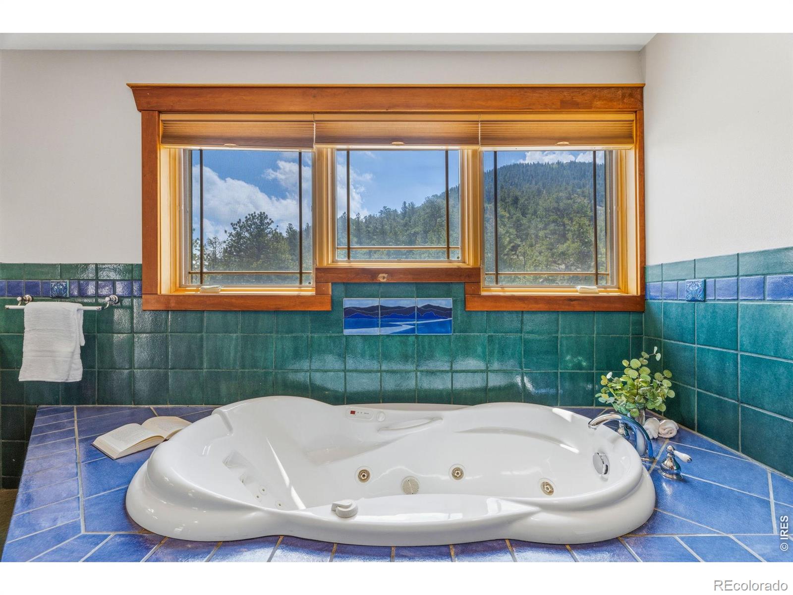 MLS Image #25 for 2864  us highway 36 ,estes park, Colorado