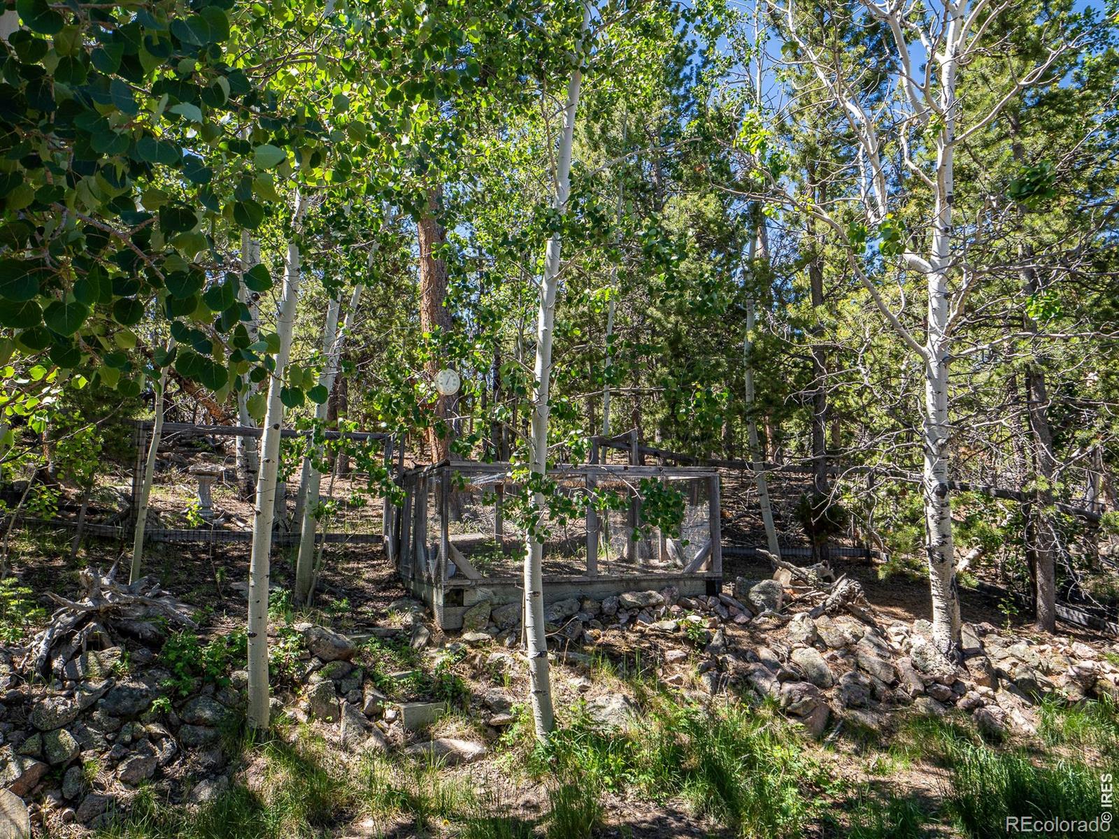 MLS Image #14 for 1847  shoshoni drive,red feather lakes, Colorado