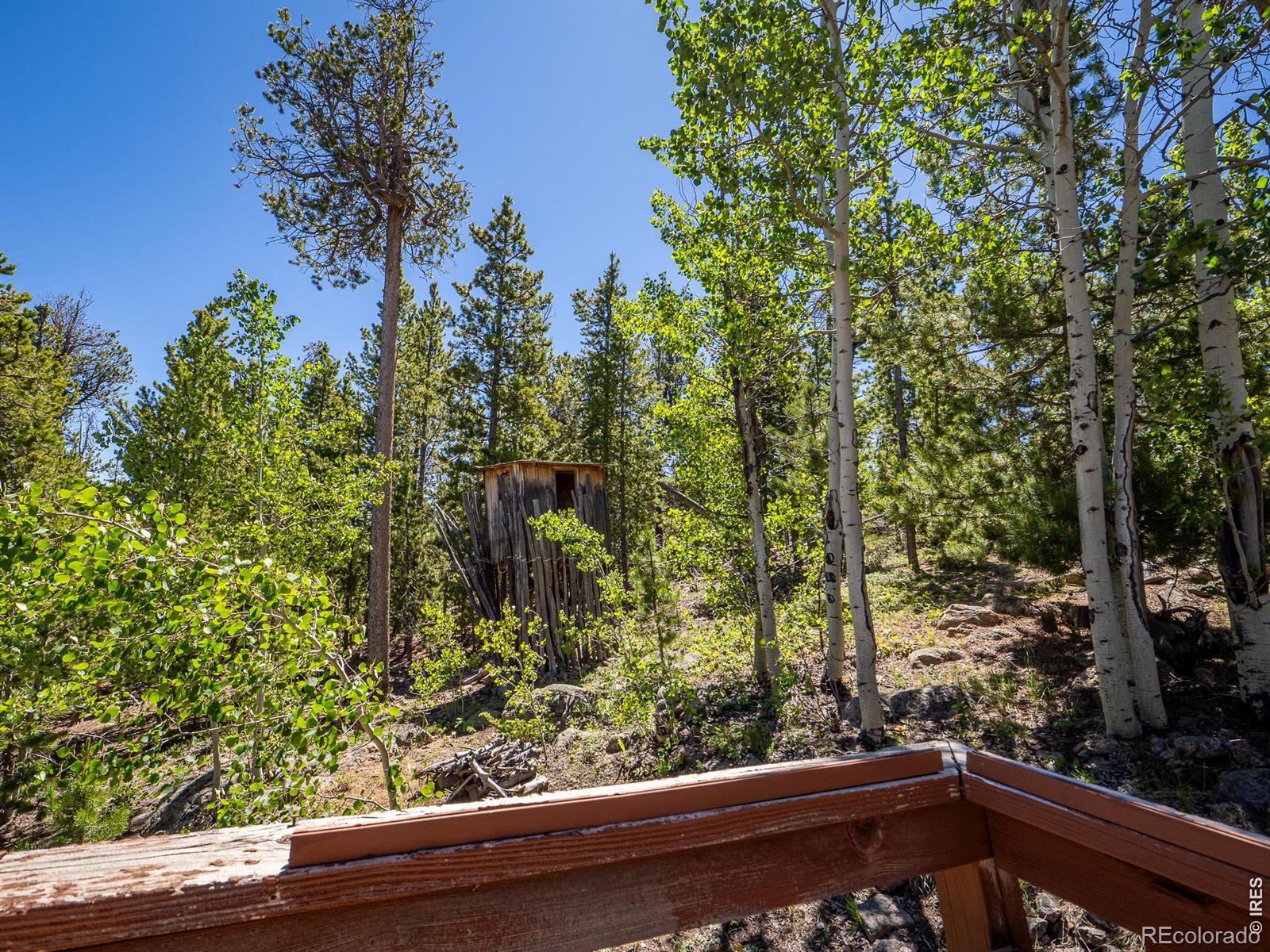 MLS Image #19 for 1847  shoshoni drive,red feather lakes, Colorado