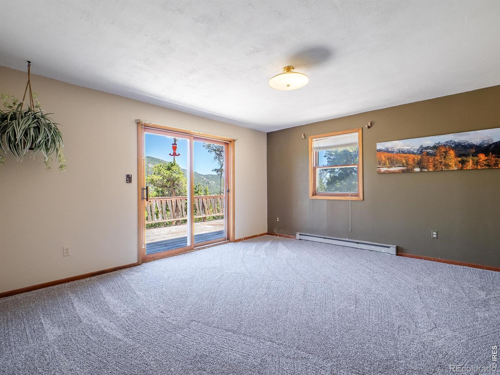 MLS Image #36 for 1847  shoshoni drive,red feather lakes, Colorado