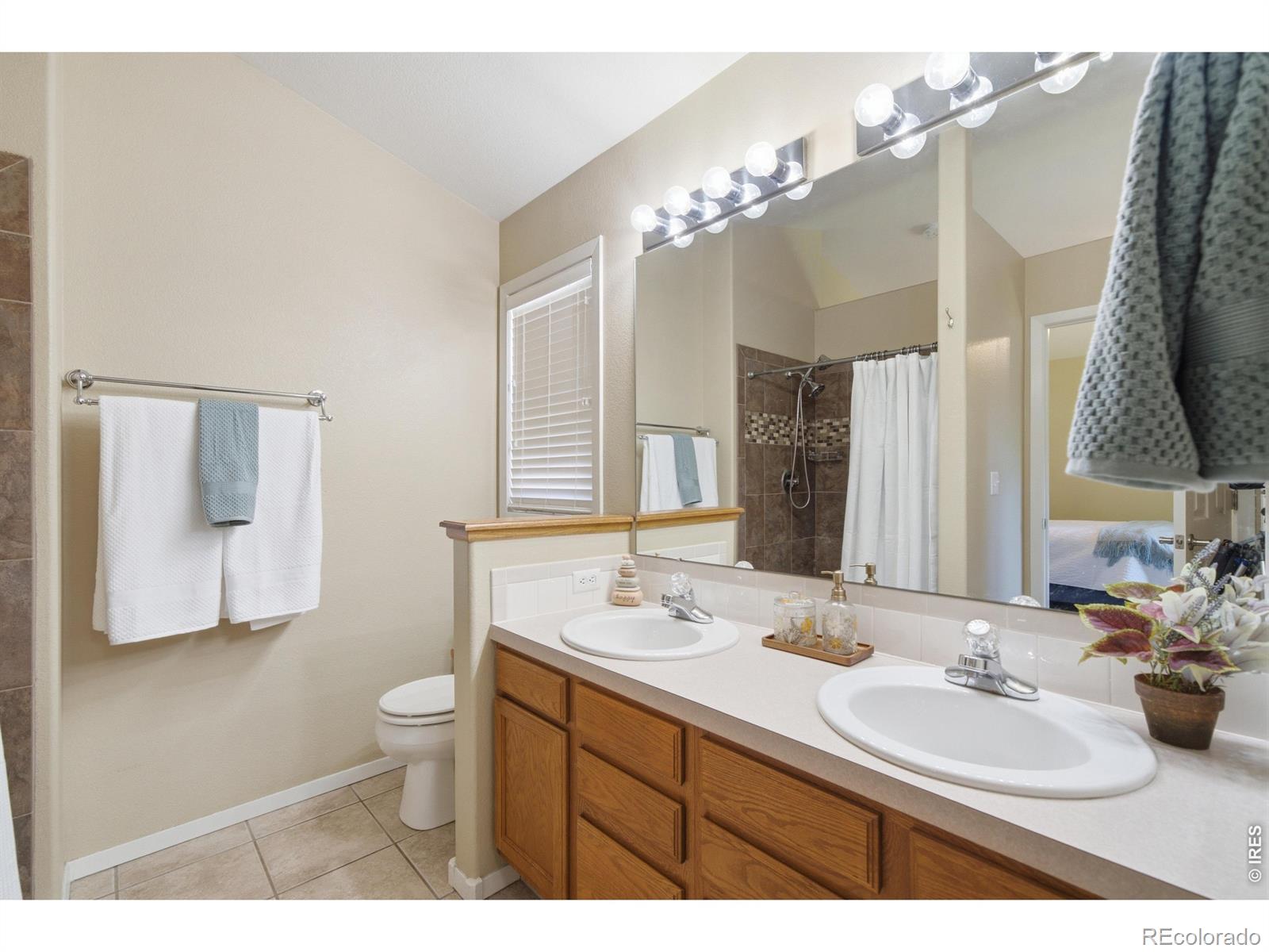 MLS Image #10 for 2449  anemonie court,loveland, Colorado