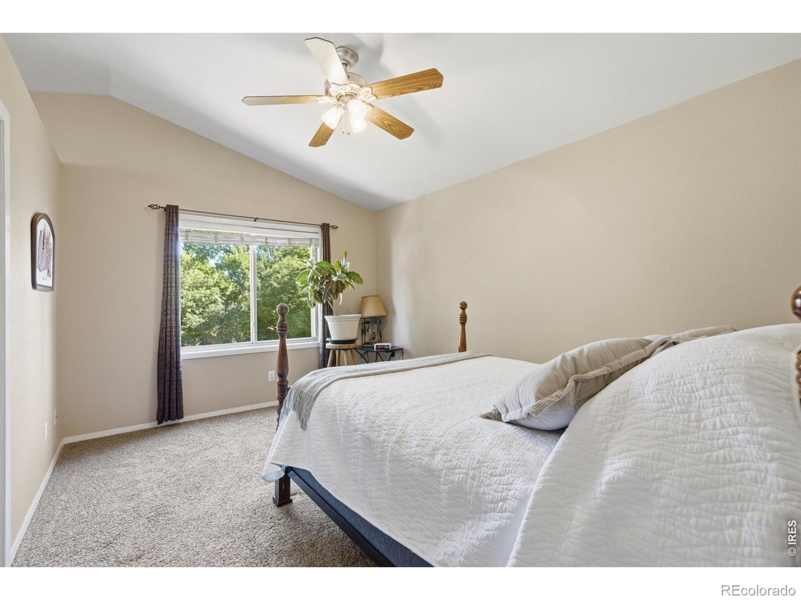 MLS Image #9 for 2449  anemonie court,loveland, Colorado
