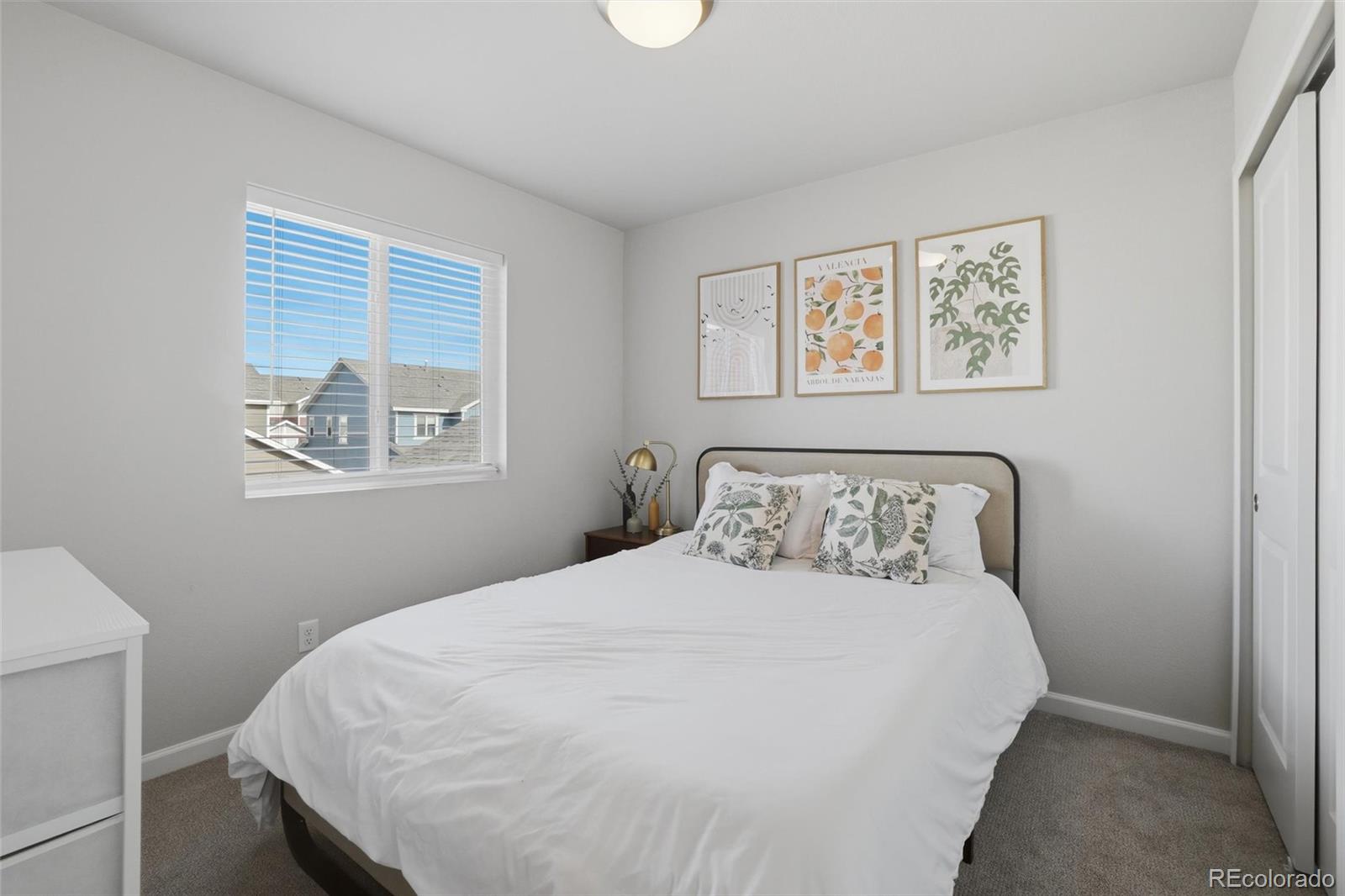 MLS Image #19 for 5230  mountain vista heights,colorado springs, Colorado