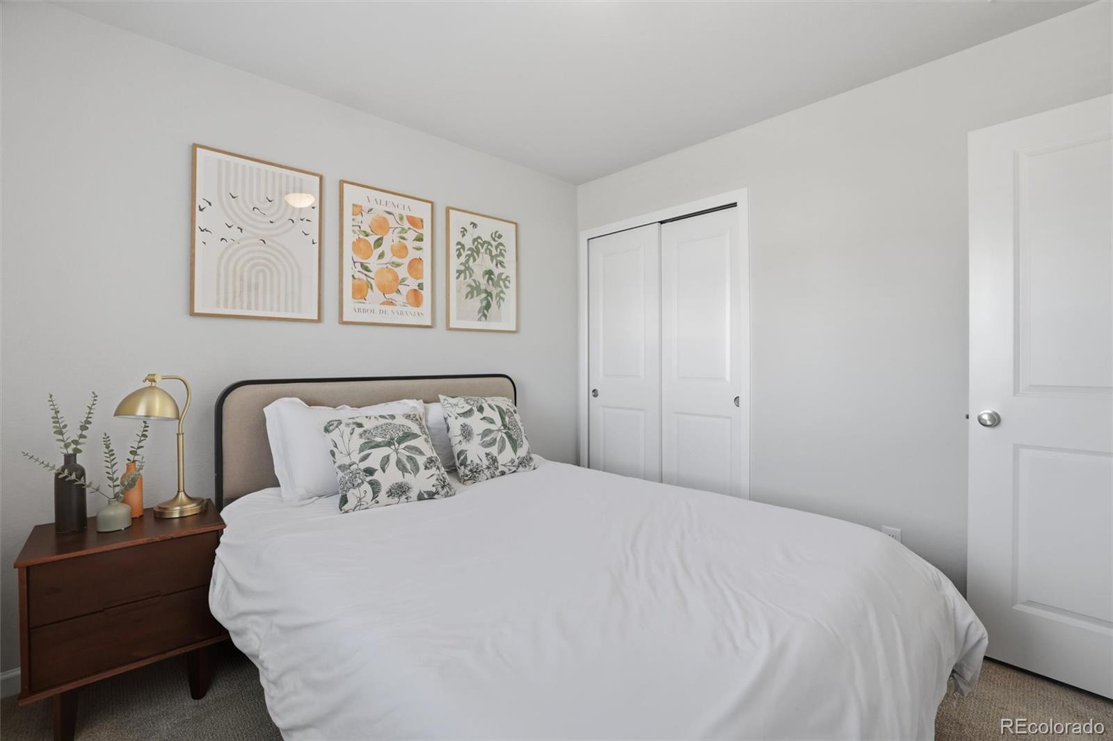 MLS Image #20 for 5230  mountain vista heights,colorado springs, Colorado