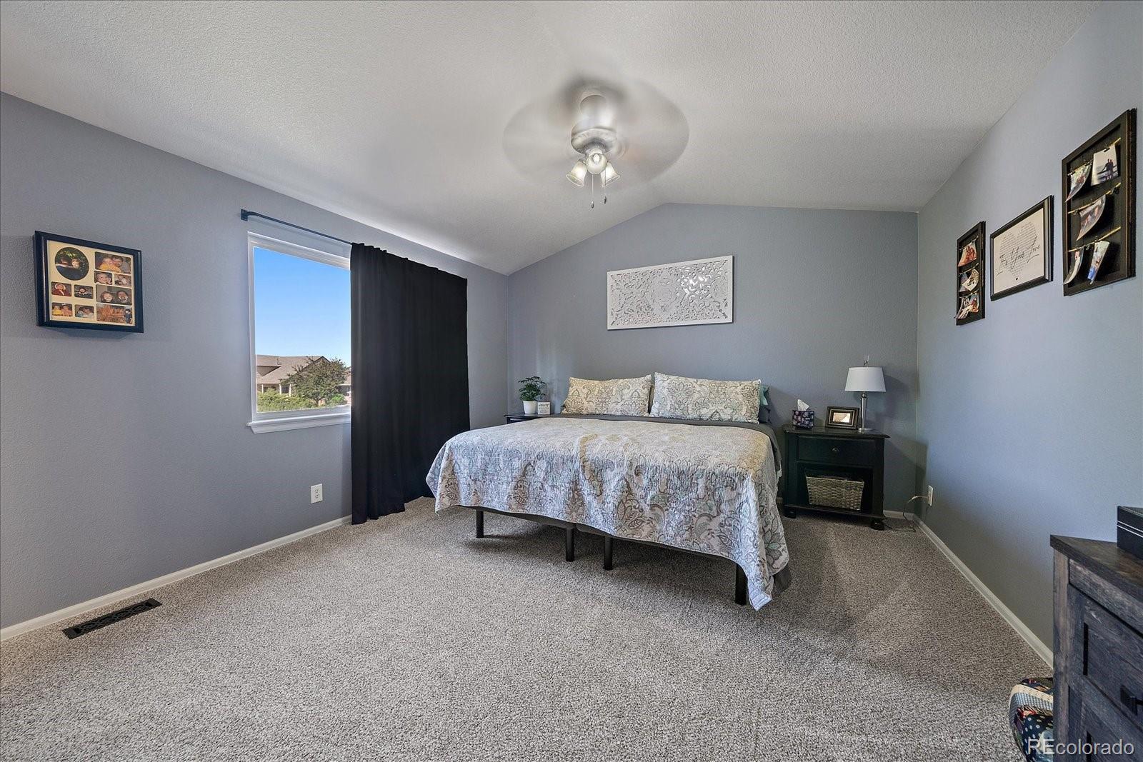MLS Image #19 for 3700  black feather trail,castle rock, Colorado