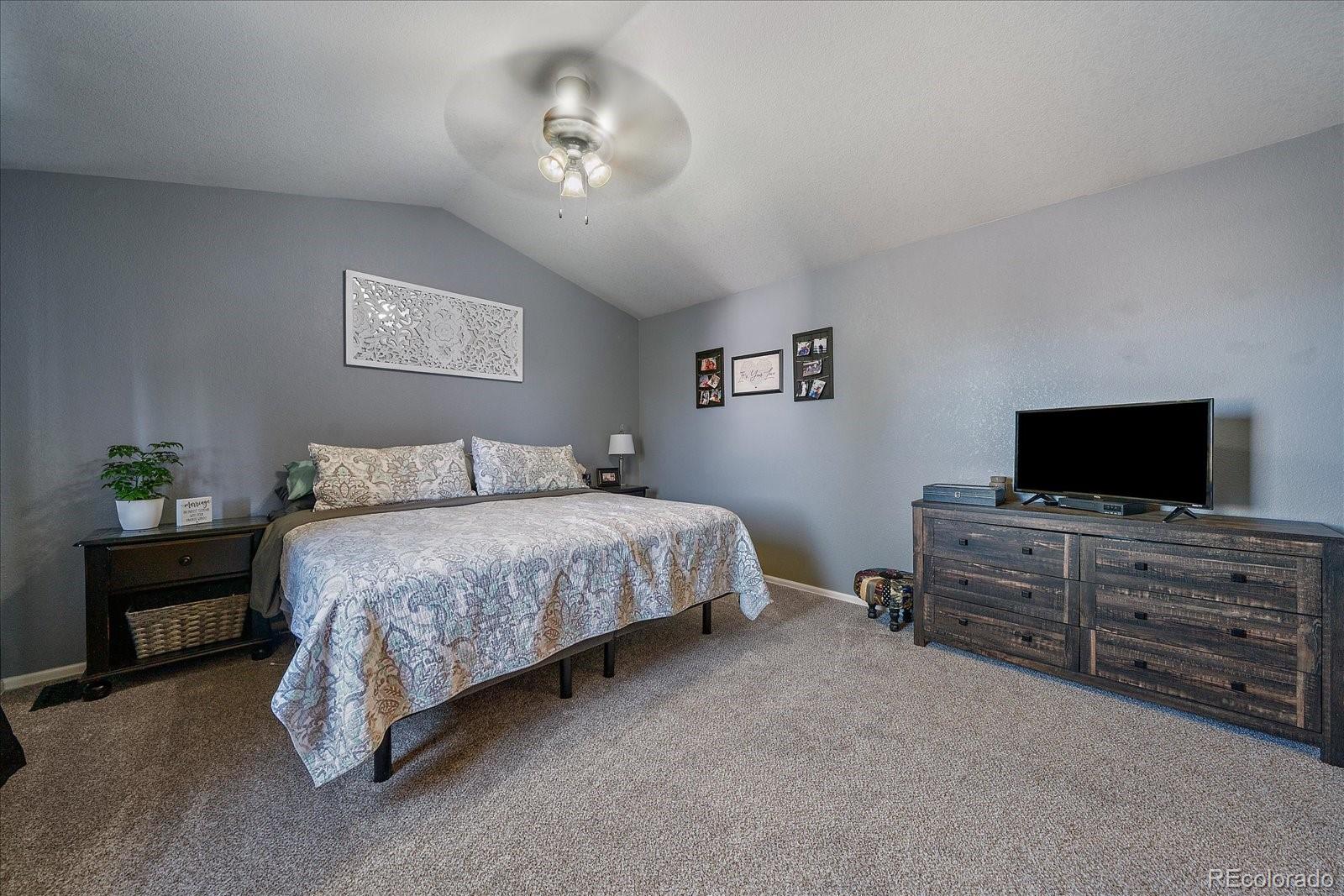 MLS Image #20 for 3700  black feather trail,castle rock, Colorado