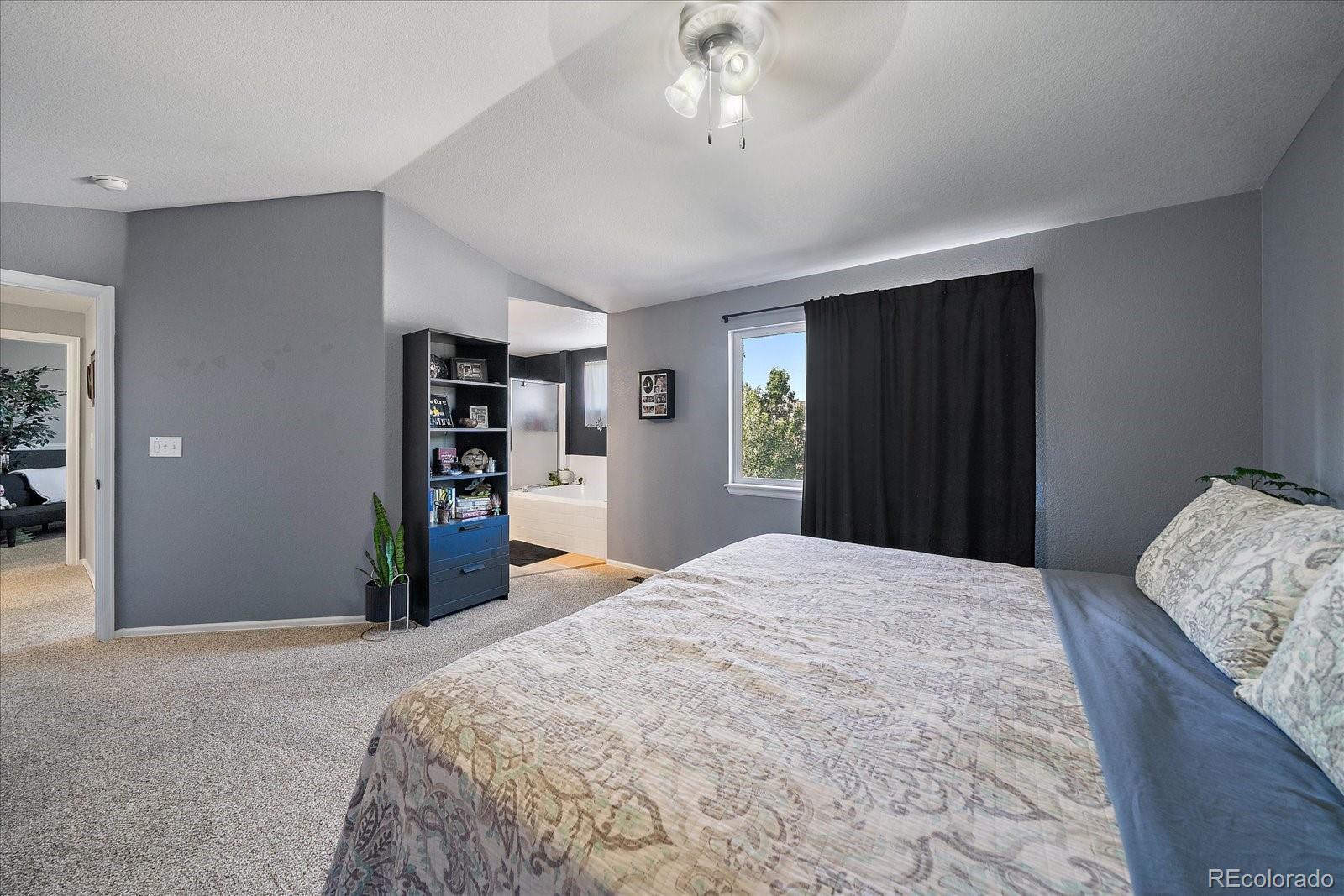 MLS Image #21 for 3700  black feather trail,castle rock, Colorado