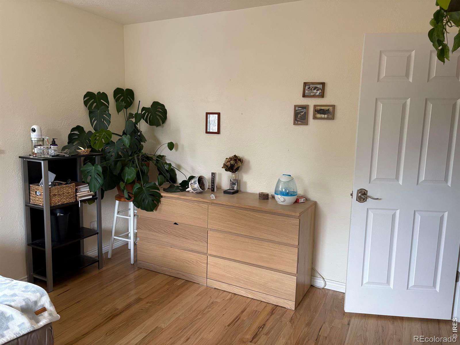 MLS Image #5 for 420  duke lane,fort collins, Colorado